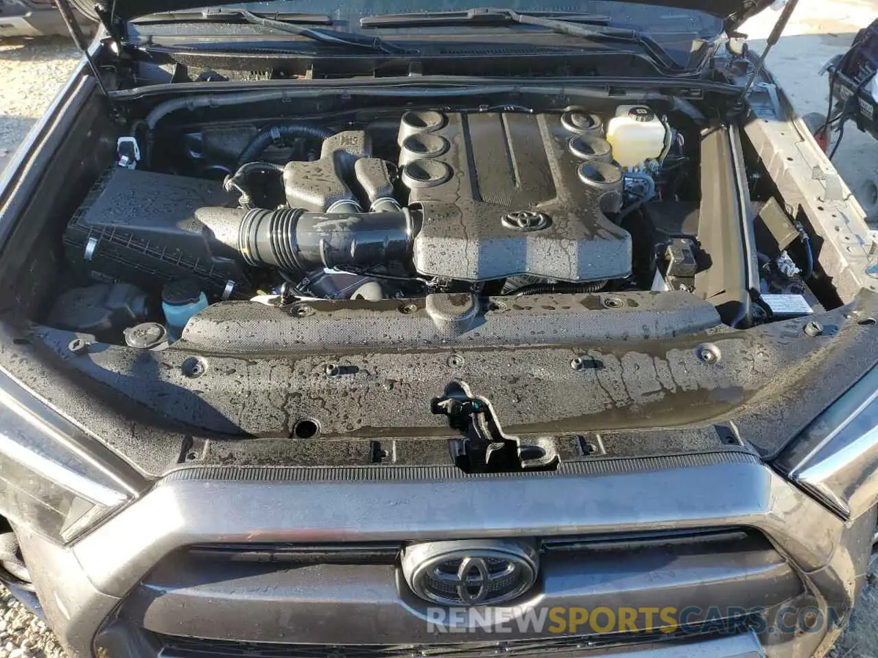 12 fotografías del automóvil dañado JTERU5JR0N6061418 TOYOTA 4RUNNER 2022