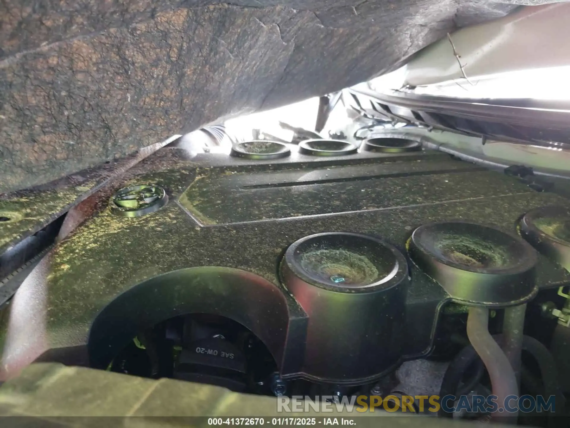 10 fotografías del automóvil dañado JTEEU5JR9R5310924 TOYOTA 4RUNNER 2024