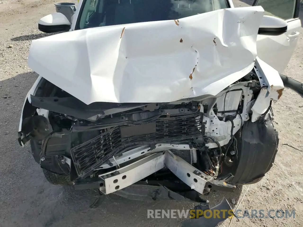 12 fotografías del automóvil dañado JTEMU5JR3R6220710 TOYOTA 4RUNNER 2024