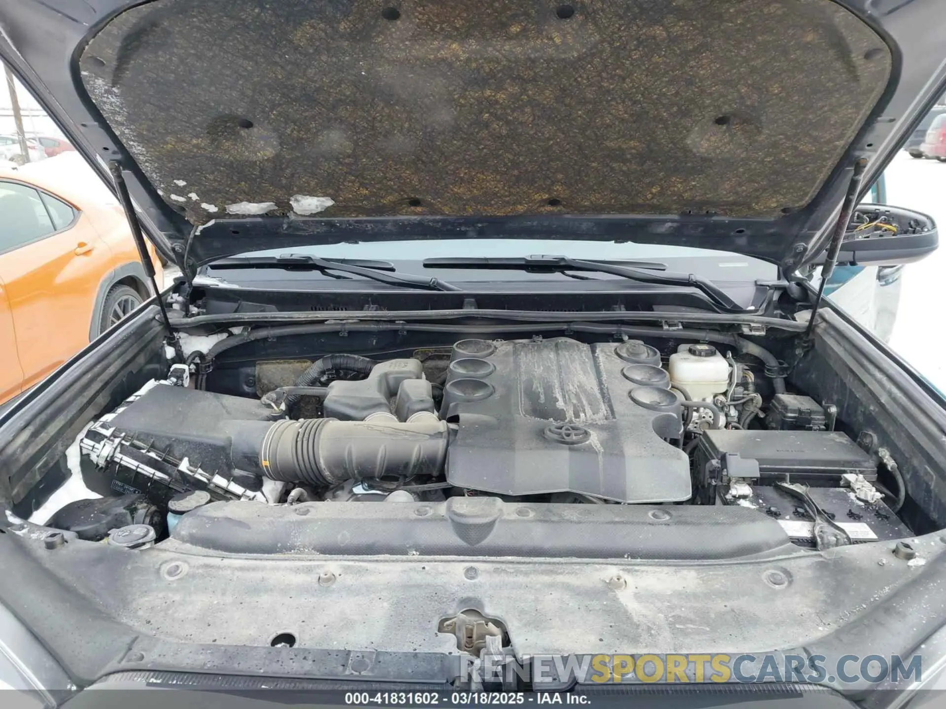 10 fotografías del automóvil dañado JTEMU5JR9R6266395 TOYOTA 4RUNNER 2024