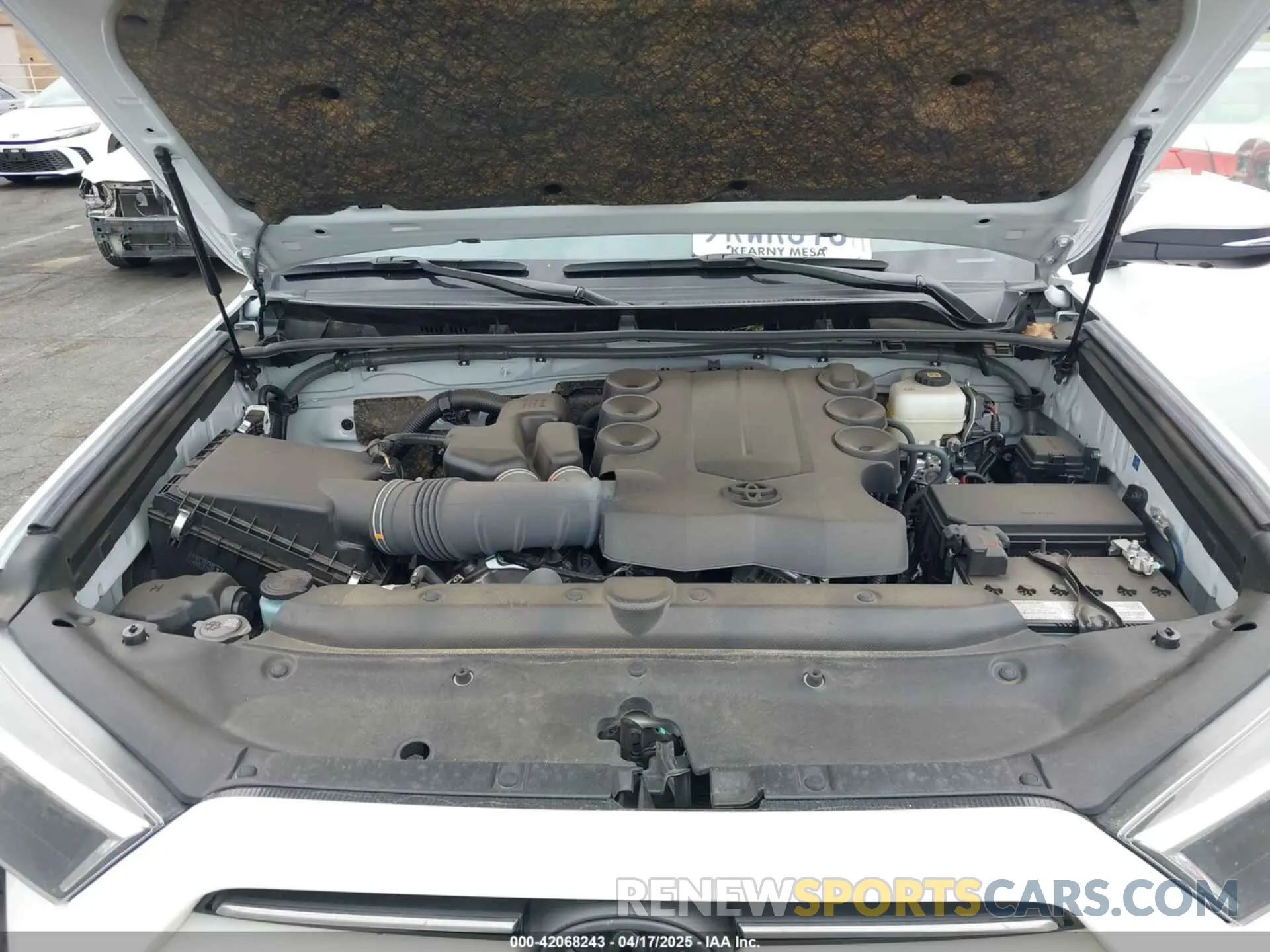 10 fotografías del automóvil dañado JTENU5JR4R6243479 TOYOTA 4RUNNER 2024
