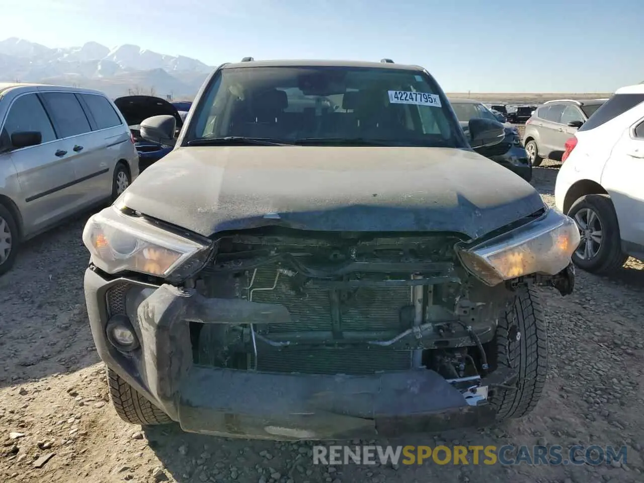 5 fotografías del automóvil dañado JTENU5JR6R6273941 TOYOTA 4RUNNER 2024