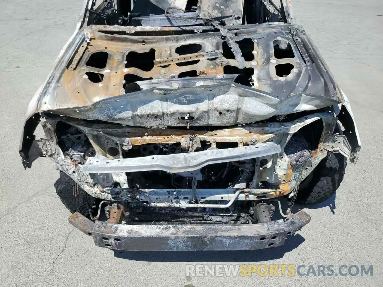 12 fotografías del automóvil dañado JTERU5JR2R6253395 TOYOTA 4RUNNER 2024