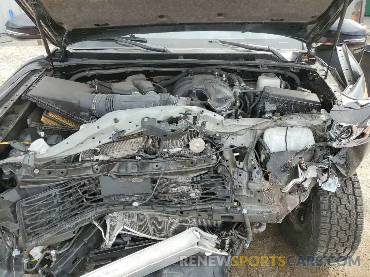 12 fotografías del automóvil dañado JTEUU5JR6P6100235 TOYOTA 4RUNNER 40 2023