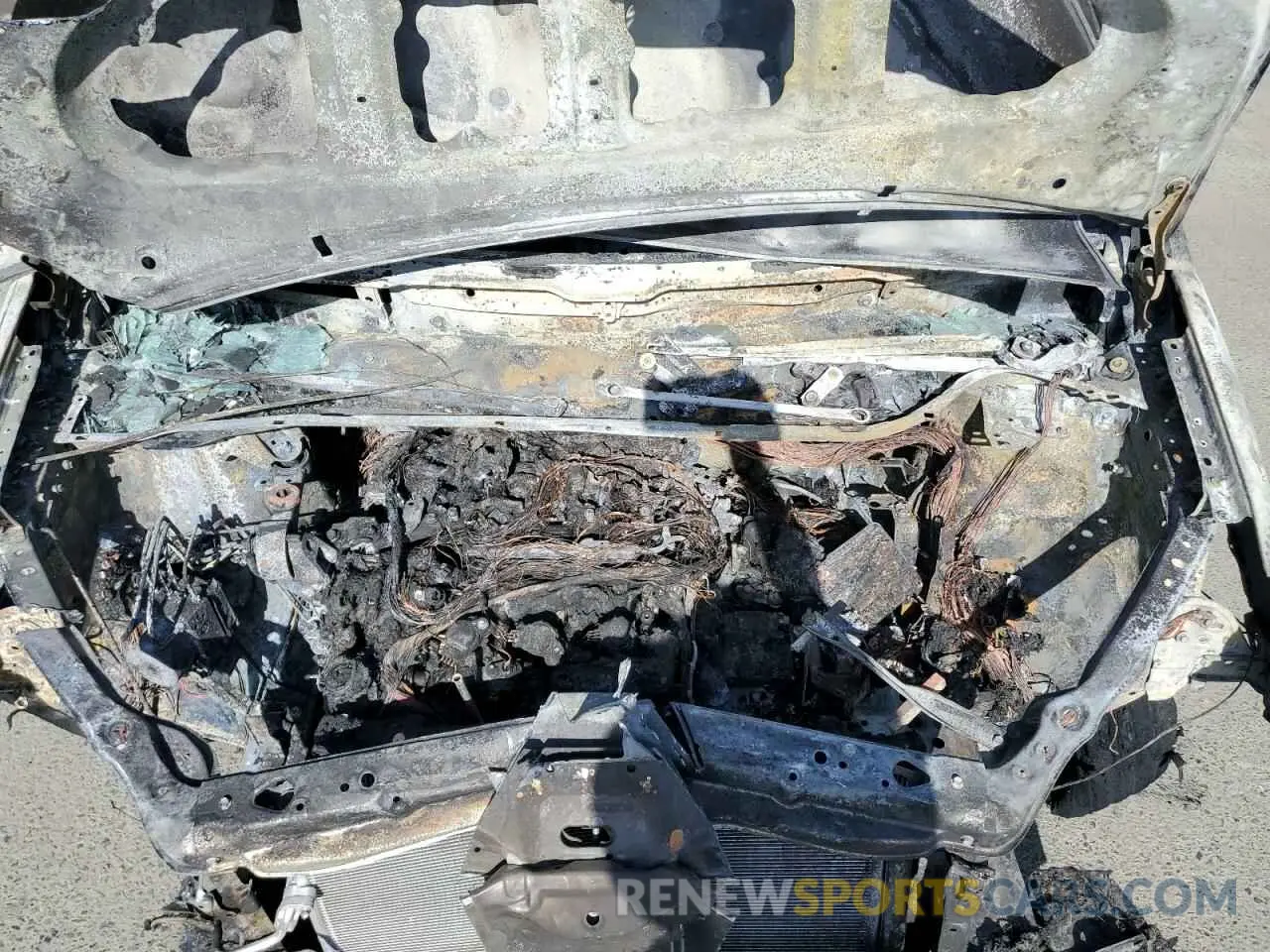 12 fotografías del automóvil dañado 5TDKZ3DC0KS004702 TOYOTA All Models 2019