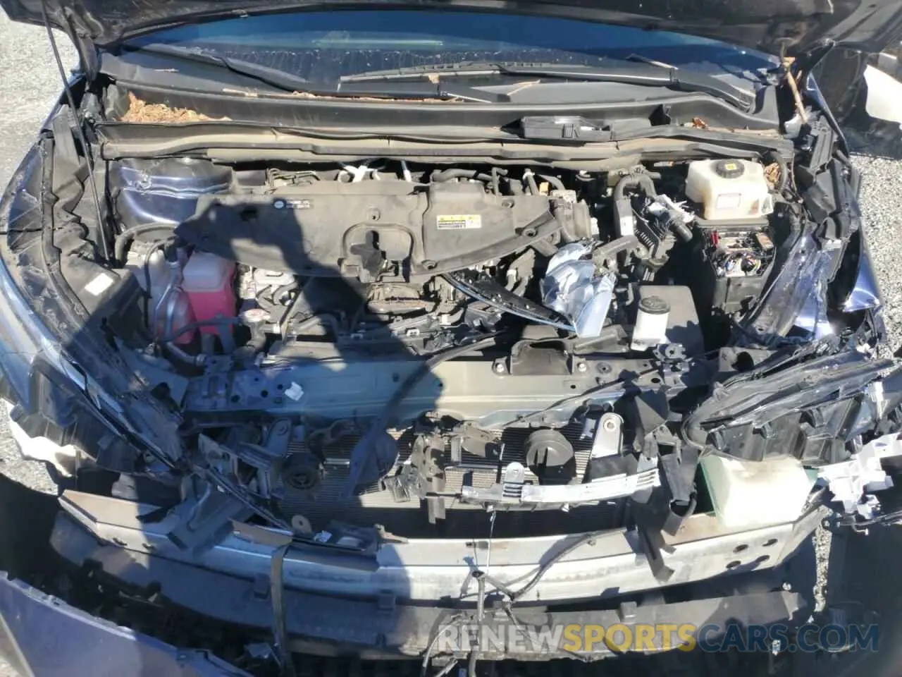 12 fotografías del automóvil dañado 5TDJRKEC2MS011481 TOYOTA All Models 2021