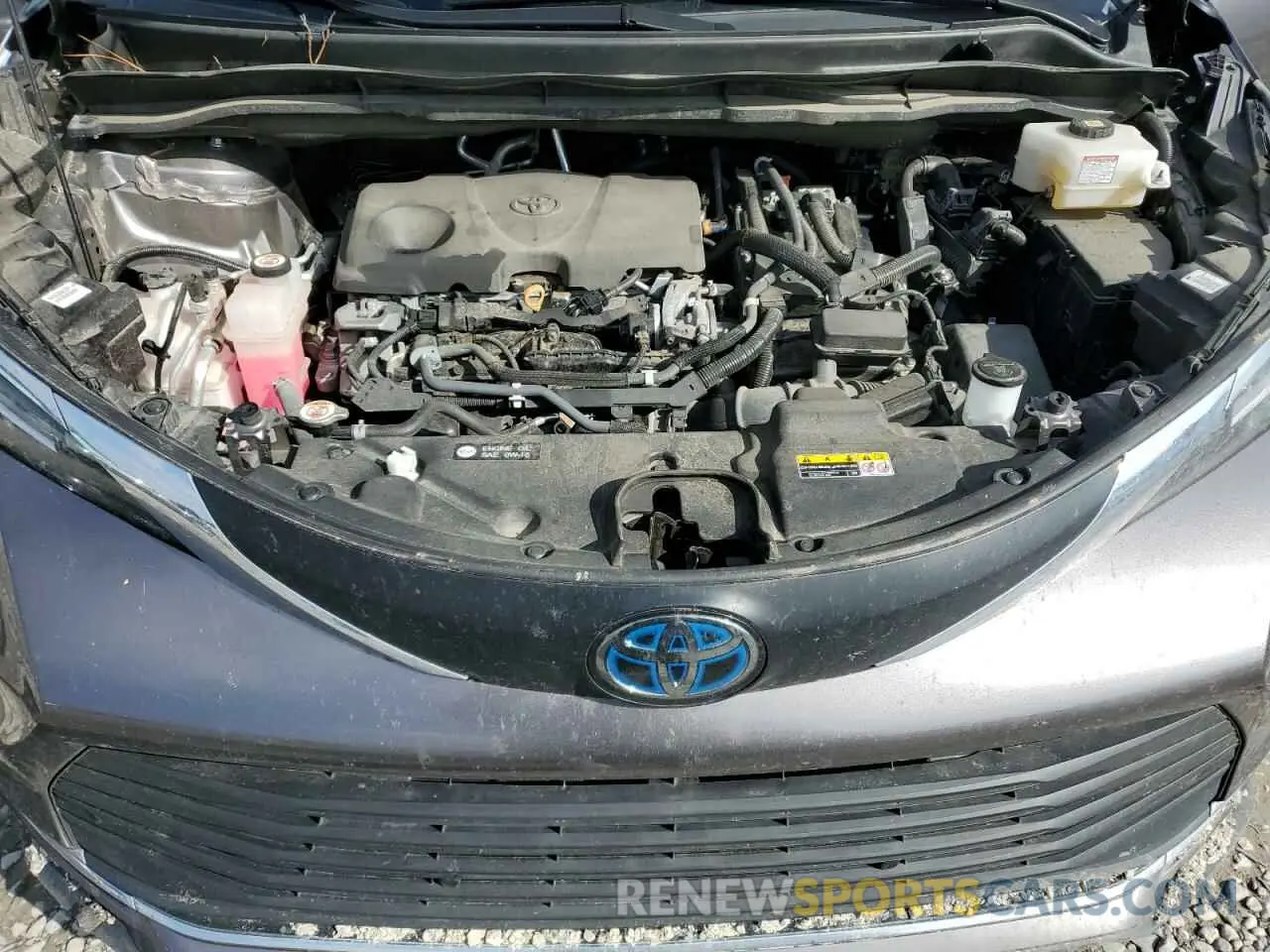 13 fotografías del automóvil dañado 5TDYRKEC1MS072223 TOYOTA All Models 2021