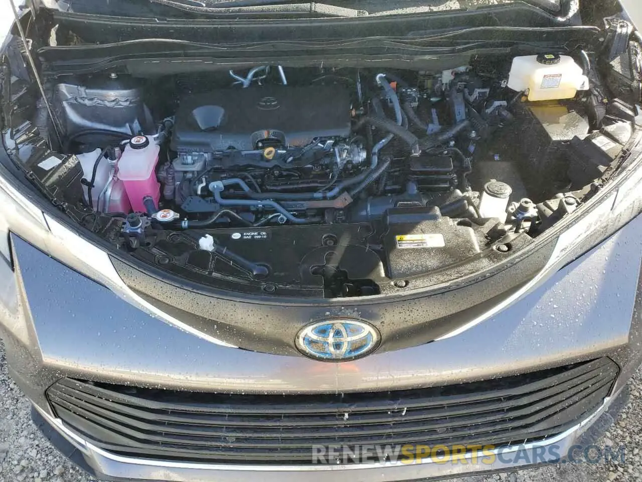 12 fotografías del automóvil dañado 5TDYRKEC1PS141870 TOYOTA All Models 2023