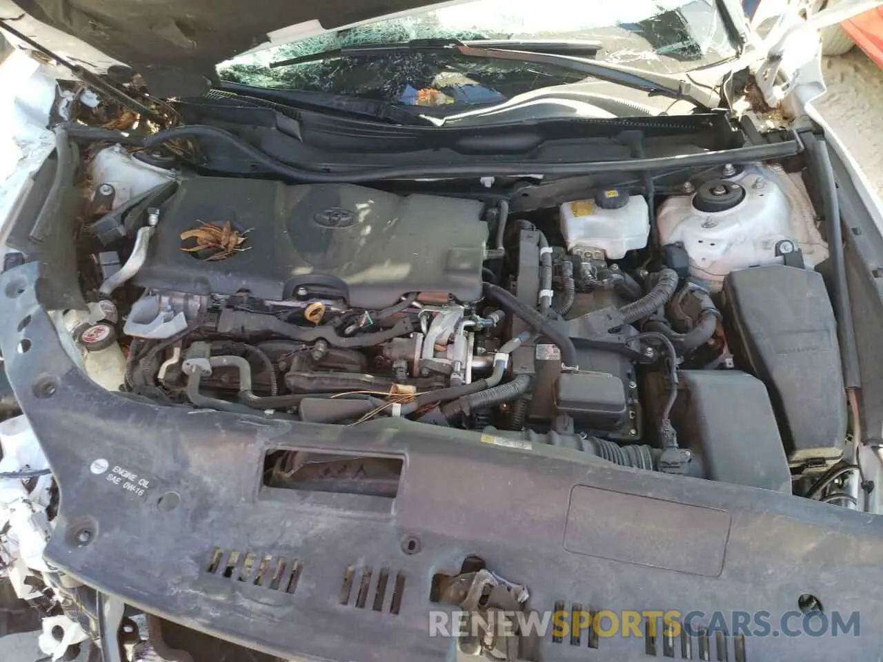 7 fotografías del automóvil dañado 4T1B21FB1KU002798 TOYOTA AVALON 2019
