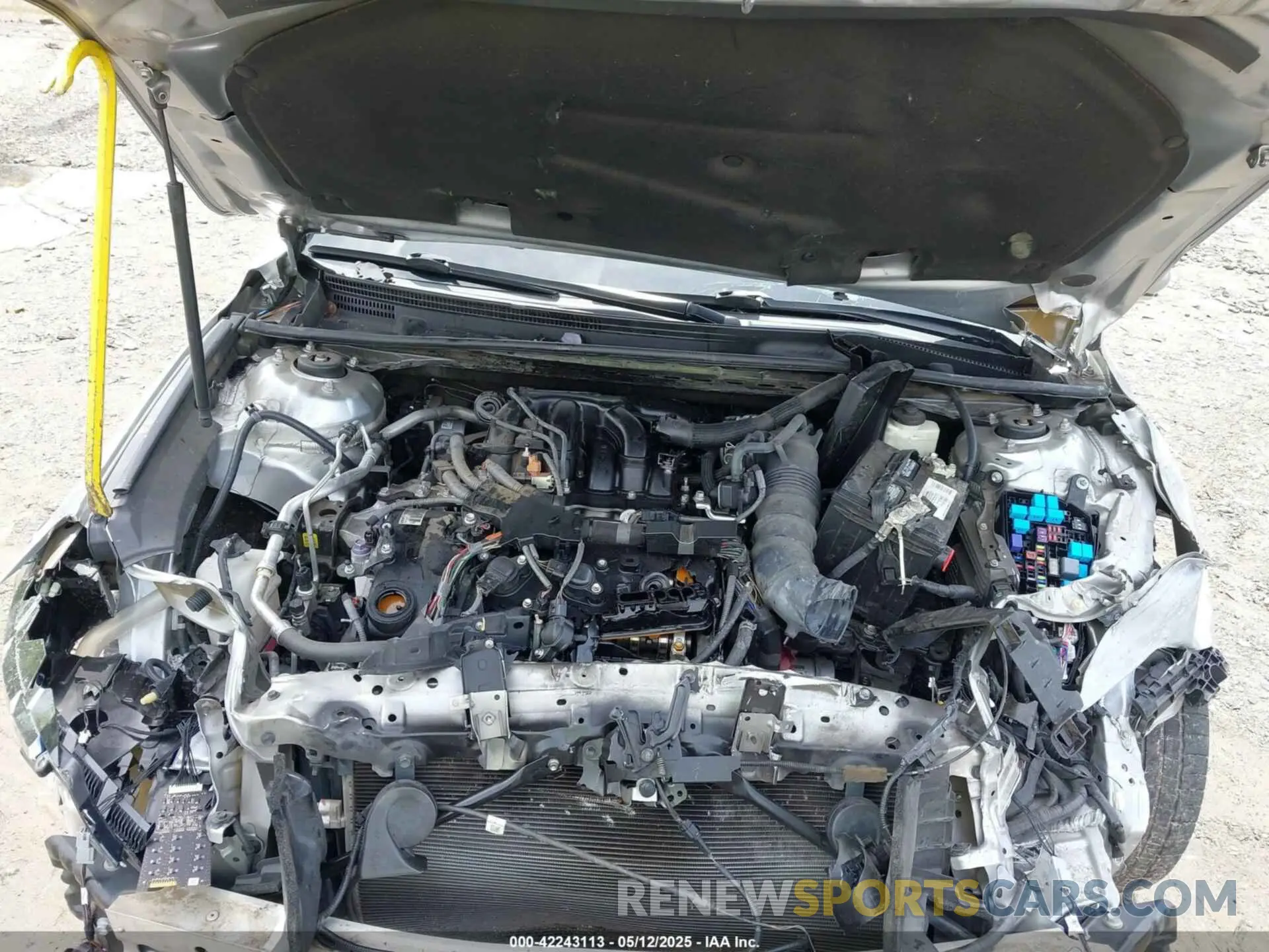 10 fotografías del automóvil dañado 4T1BZ1FB2KU008167 TOYOTA AVALON 2019
