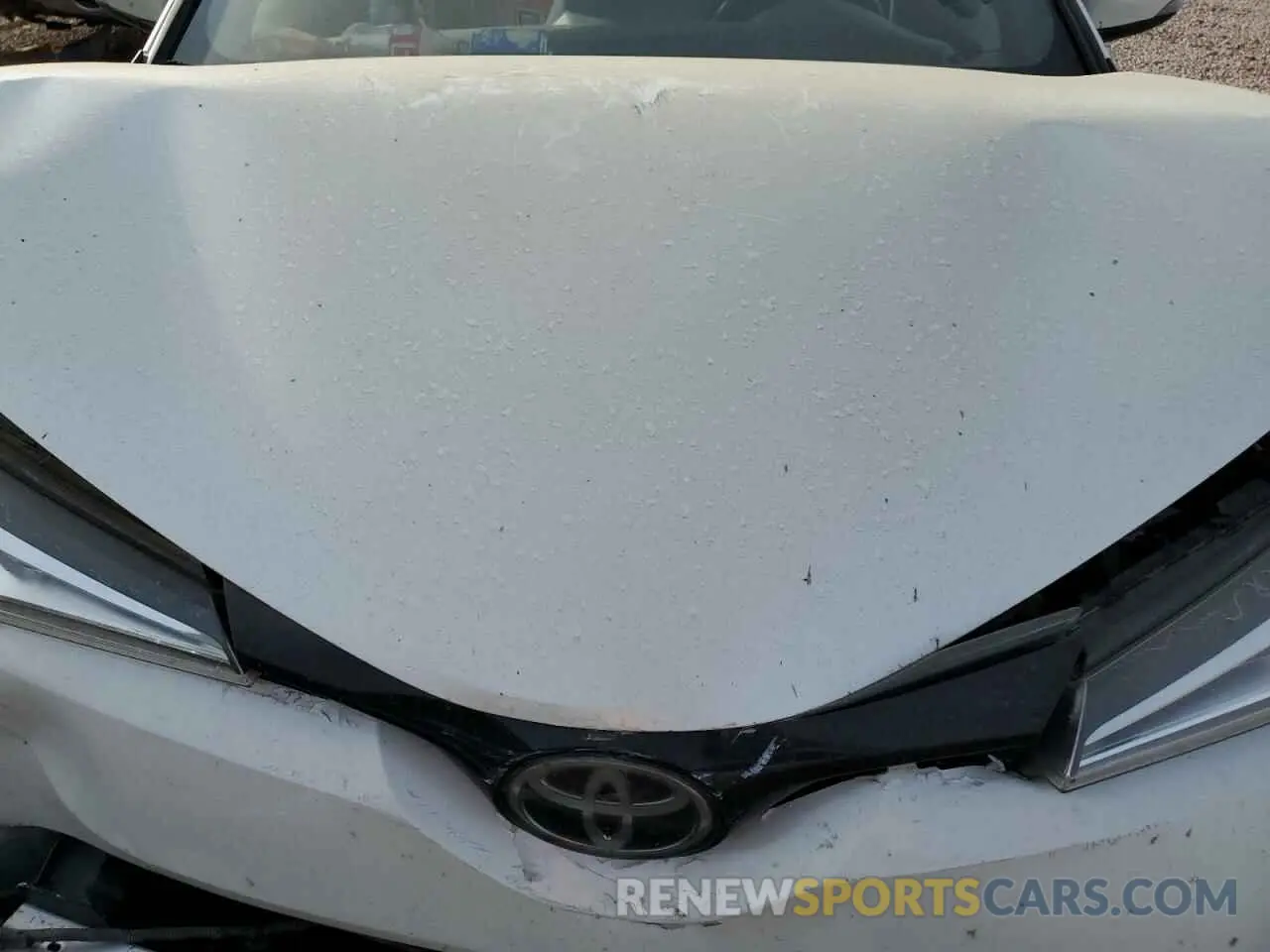 12 fotografías del automóvil dañado JTNKHMBX1K1046481 TOYOTA C-HR 2019