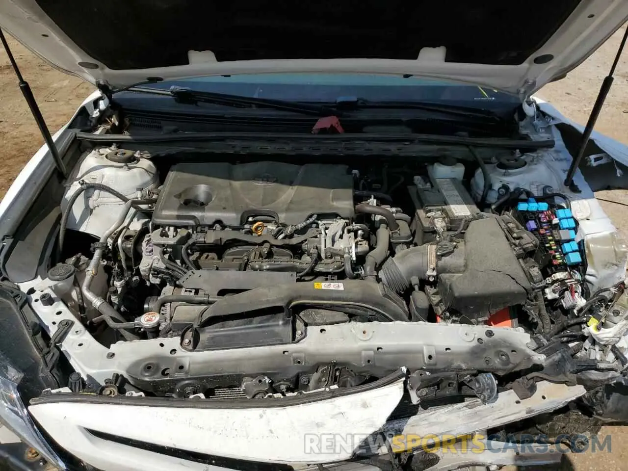 13 fotografías del automóvil dañado 4T1B11HK0KU173428 TOYOTA CAMRY 2019