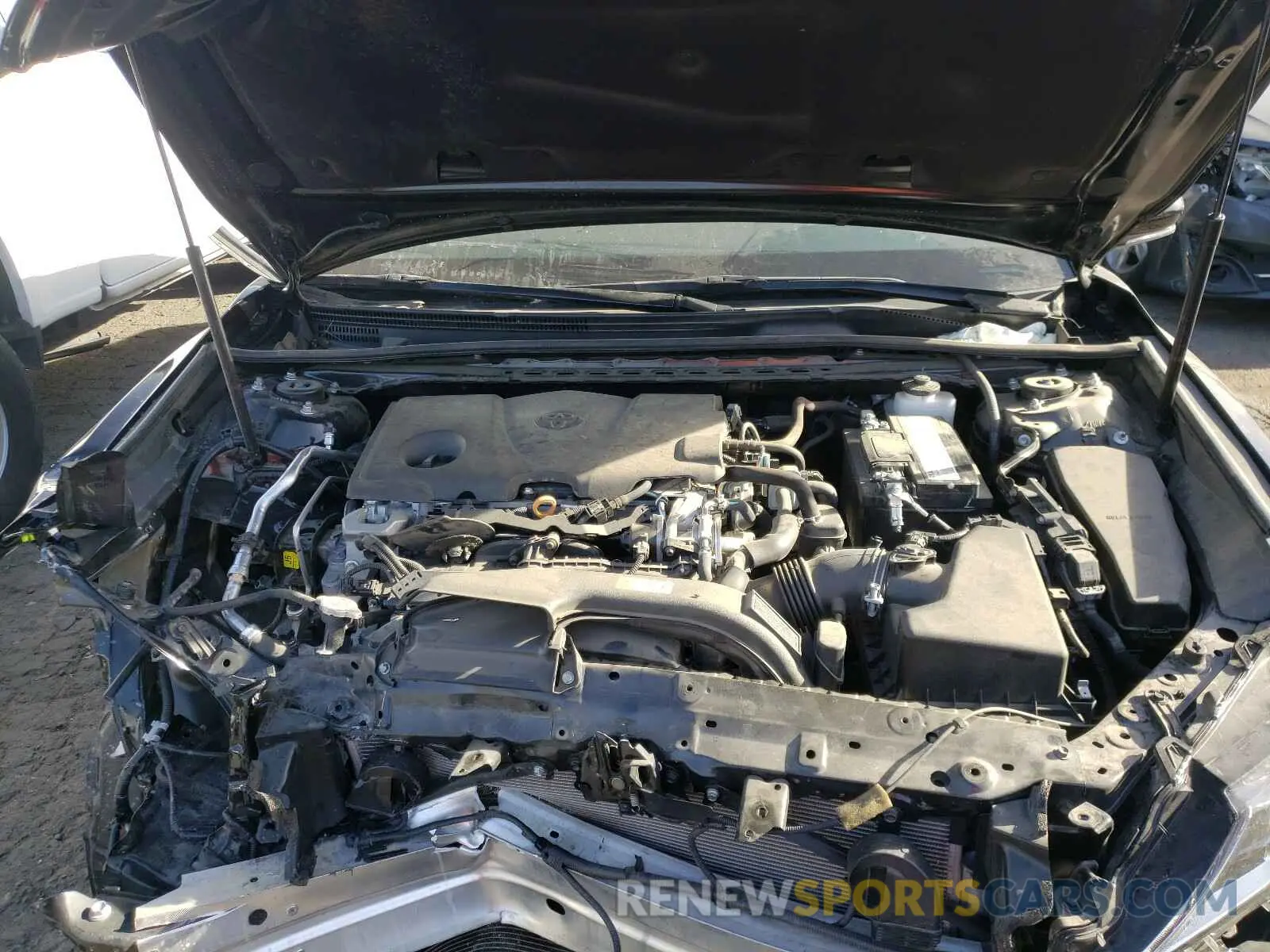 7 fotografías del automóvil dañado 4T1B11HK0KU196790 TOYOTA CAMRY 2019