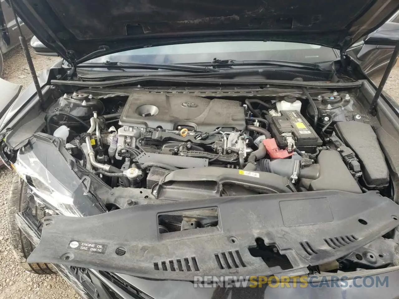 7 fotografías del automóvil dañado 4T1B11HK0KU199088 TOYOTA CAMRY 2019