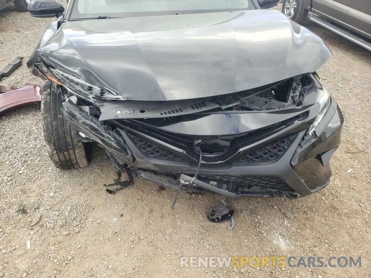 9 fotografías del automóvil dañado 4T1B11HK0KU199088 TOYOTA CAMRY 2019