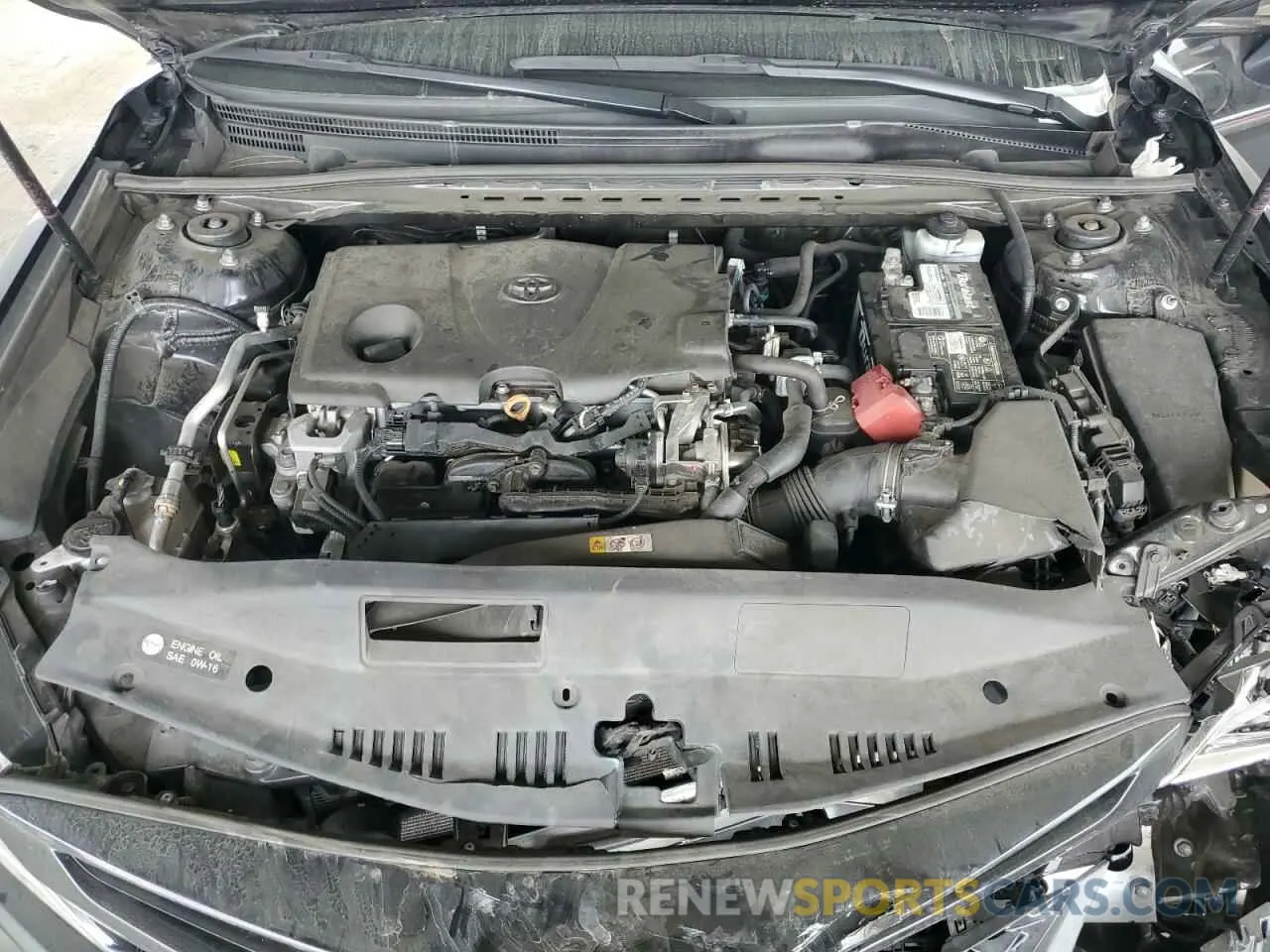 11 fotografías del automóvil dañado 4T1B11HK0KU199902 TOYOTA CAMRY 2019