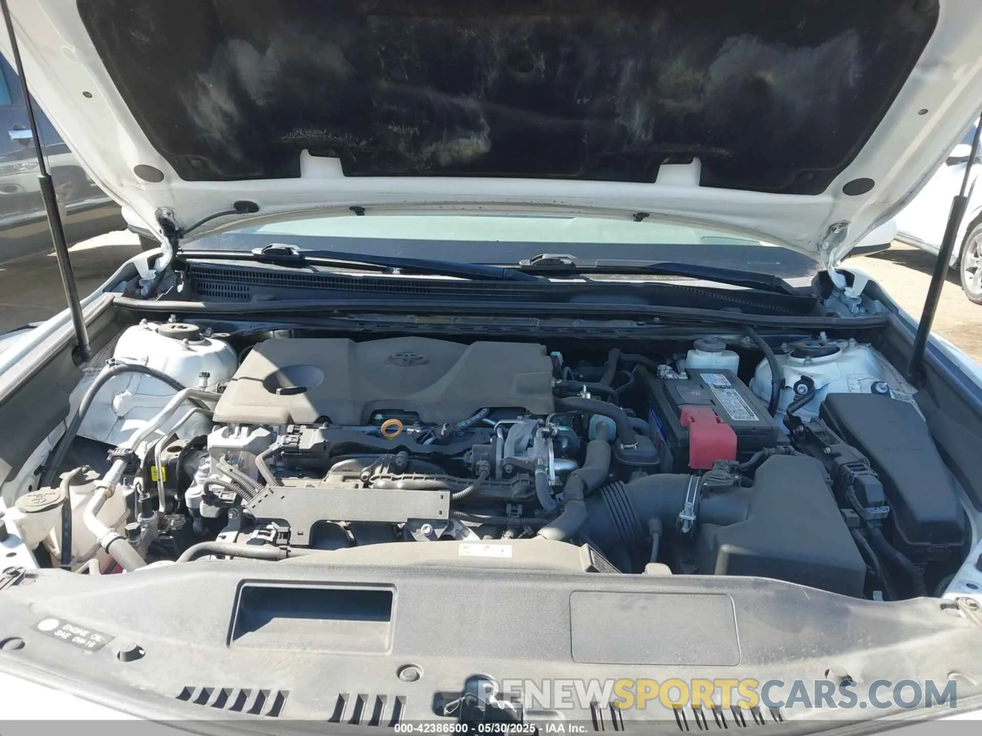 10 fotografías del automóvil dañado 4T1B11HK0KU204029 TOYOTA CAMRY 2019