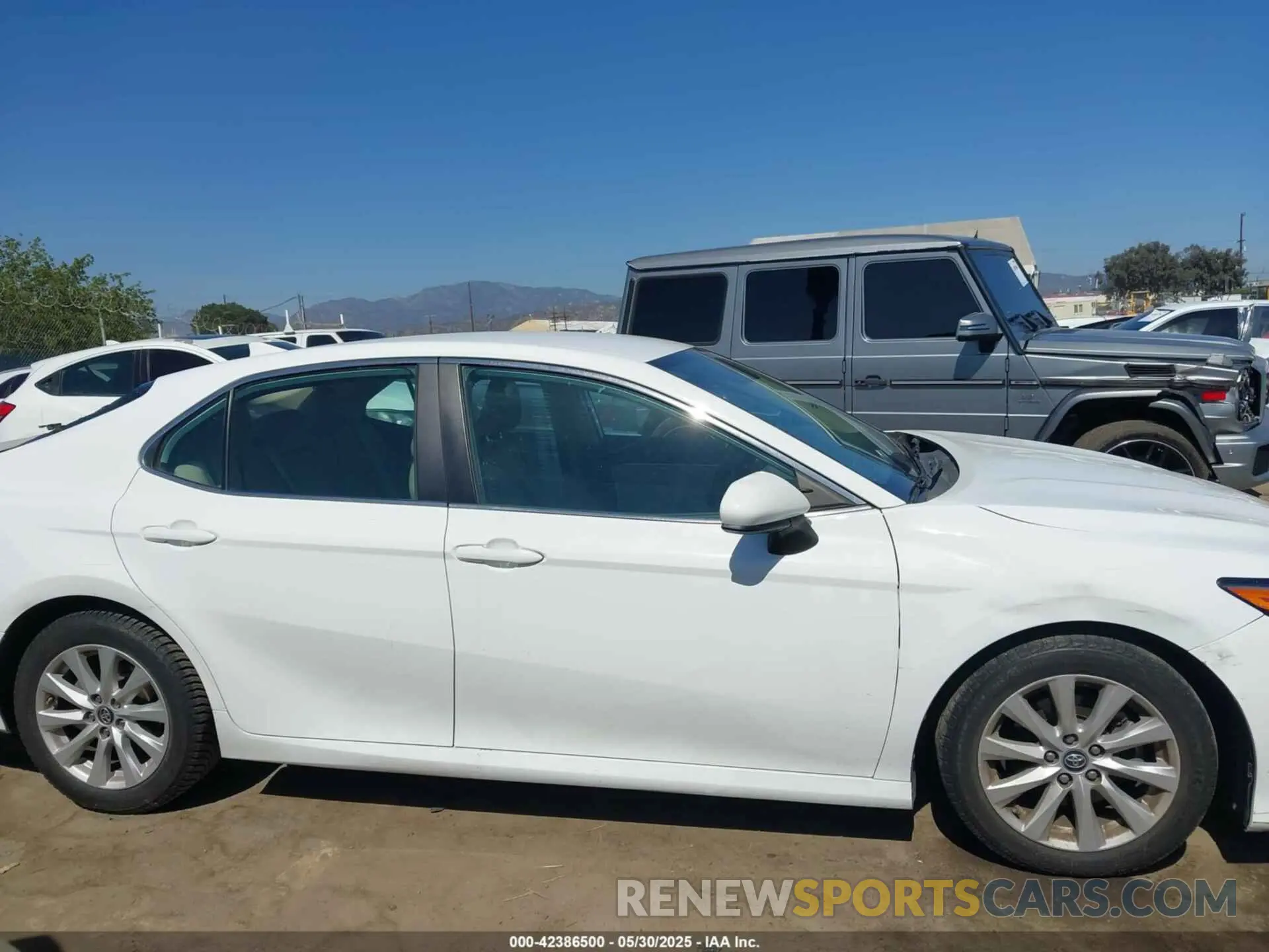 13 fotografías del automóvil dañado 4T1B11HK0KU204029 TOYOTA CAMRY 2019