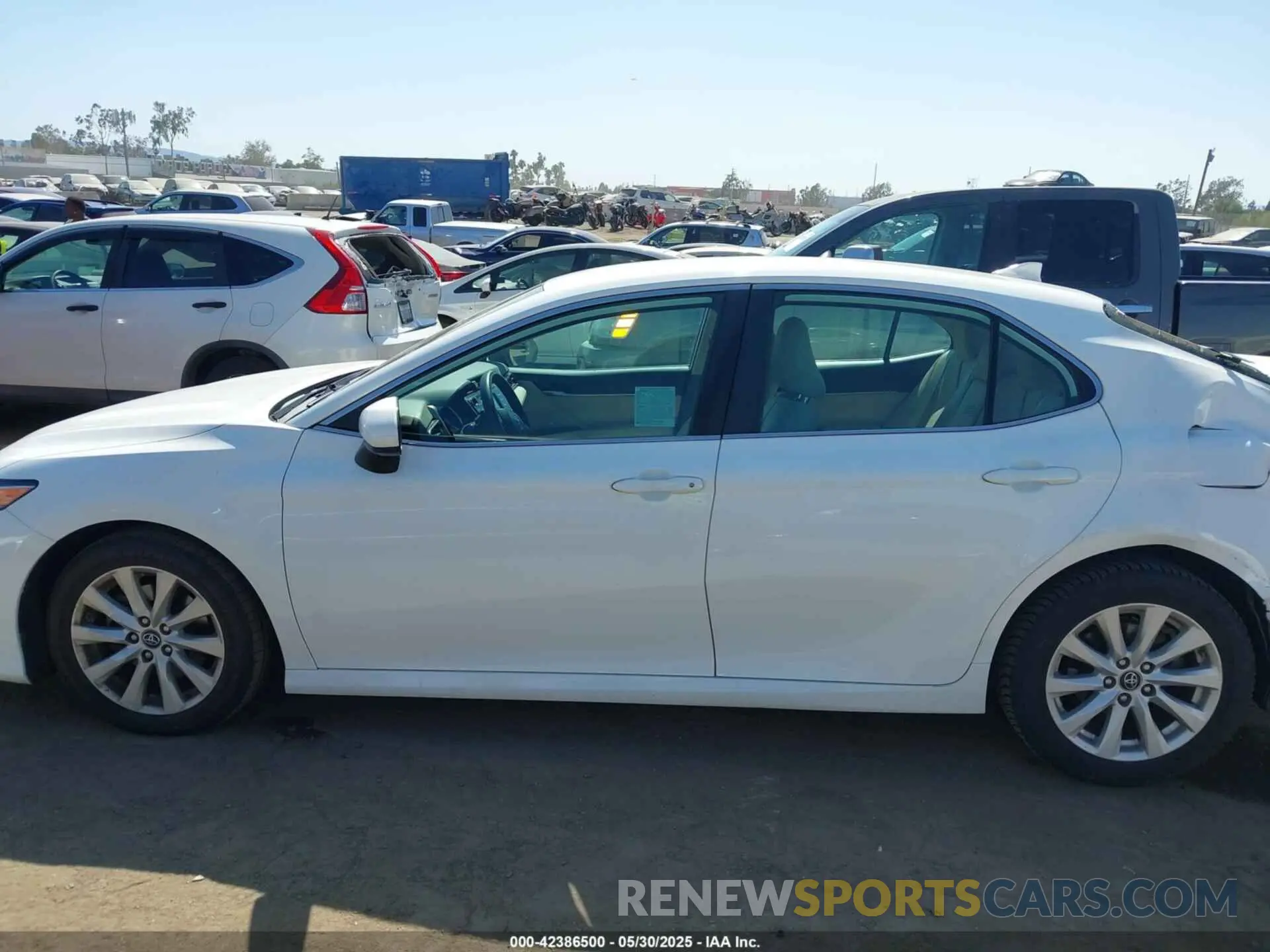 14 fotografías del automóvil dañado 4T1B11HK0KU204029 TOYOTA CAMRY 2019