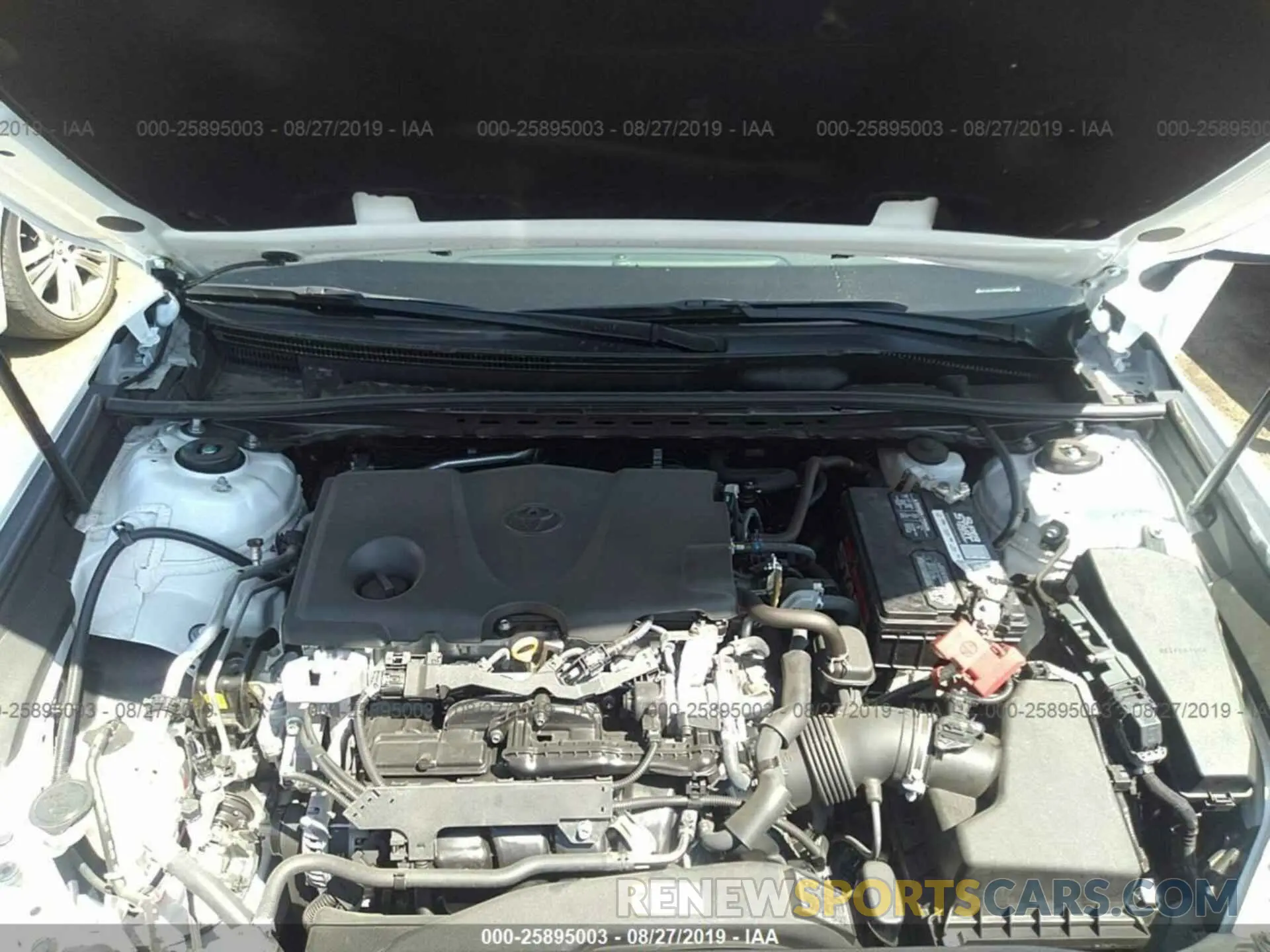 10 fotografías del automóvil dañado 4T1B11HK0KU210171 TOYOTA CAMRY 2019