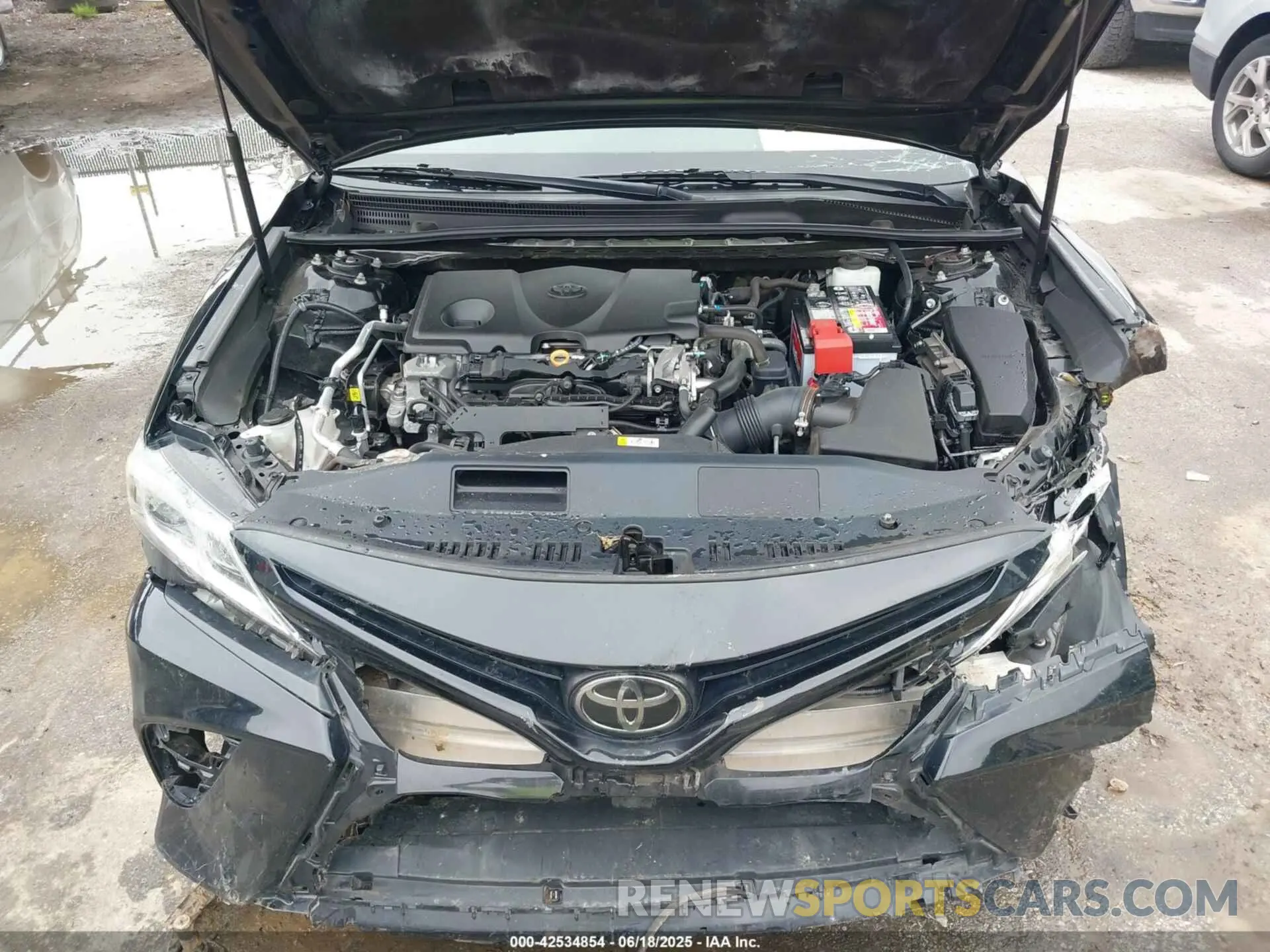 10 fotografías del automóvil dañado 4T1B11HK0KU211269 TOYOTA CAMRY 2019