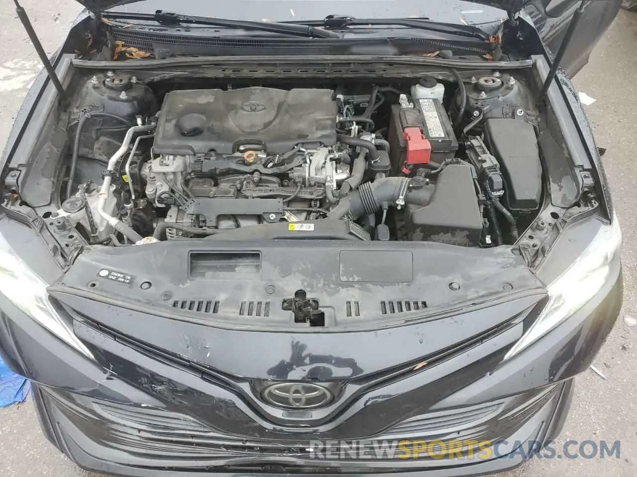 11 fotografías del automóvil dañado 4T1B11HK0KU218237 TOYOTA CAMRY 2019