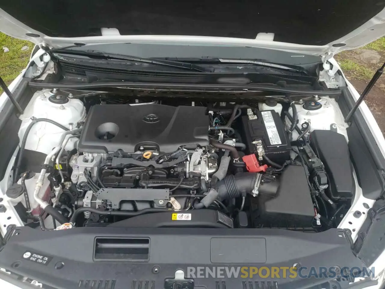 7 fotografías del automóvil dañado 4T1B11HK0KU218805 TOYOTA CAMRY 2019