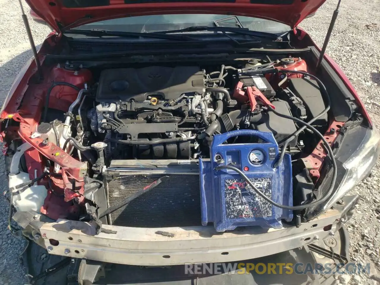 11 fotografías del automóvil dañado 4T1B11HK0KU244336 TOYOTA CAMRY 2019