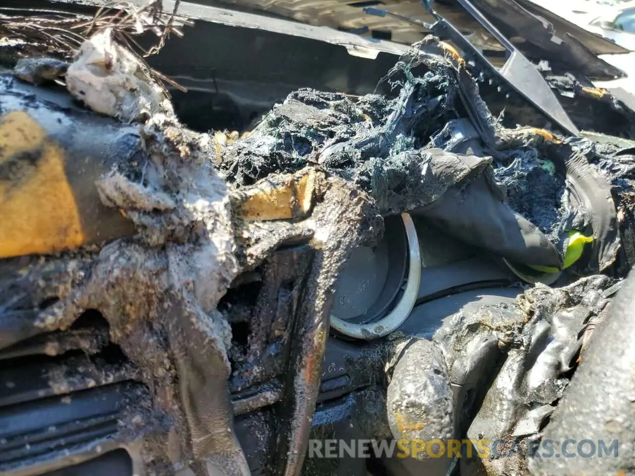 9 fotografías del automóvil dañado 4T1B11HK0KU265736 TOYOTA CAMRY 2019