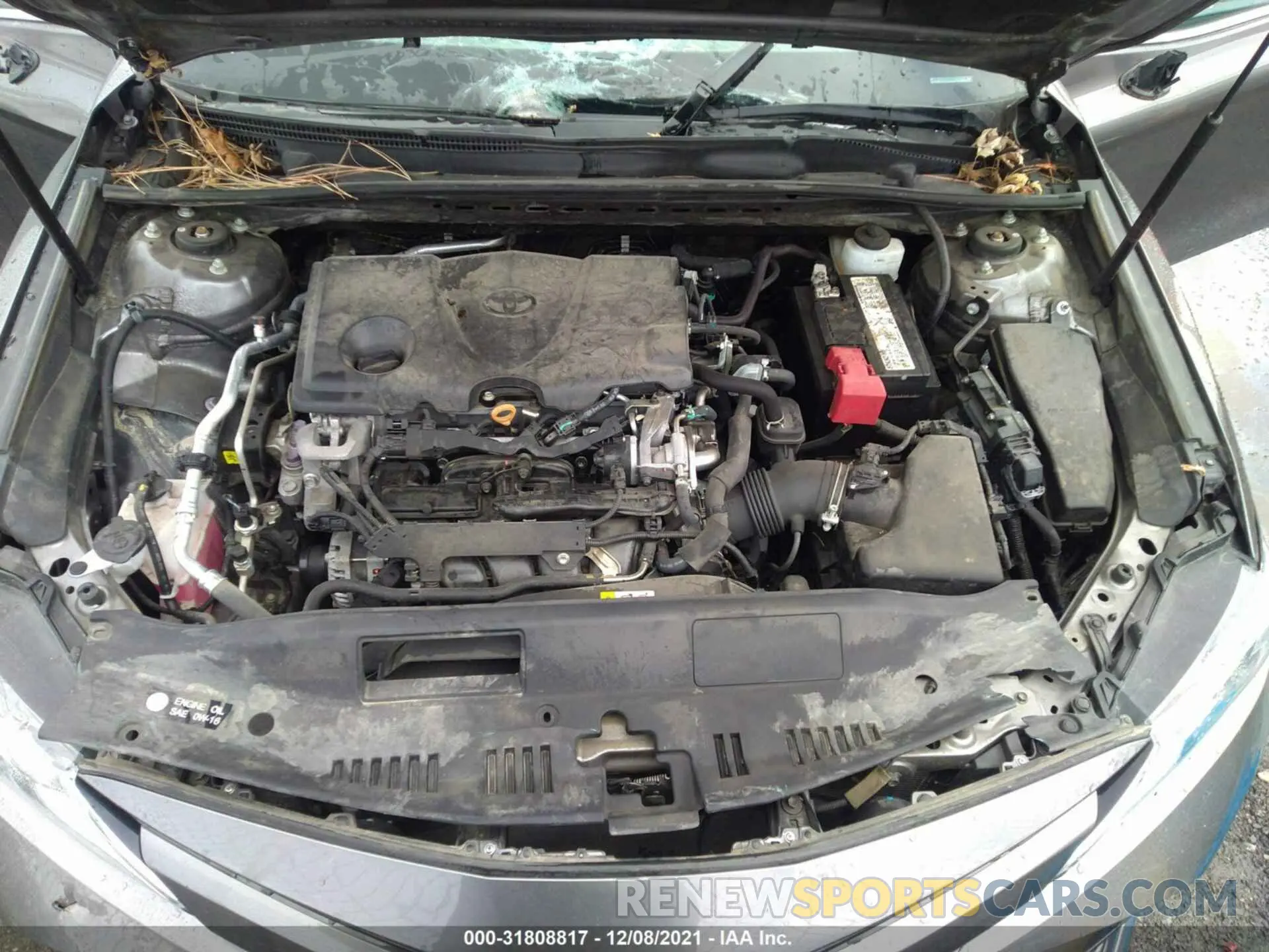10 fotografías del automóvil dañado 4T1B11HK0KU266028 TOYOTA CAMRY 2019