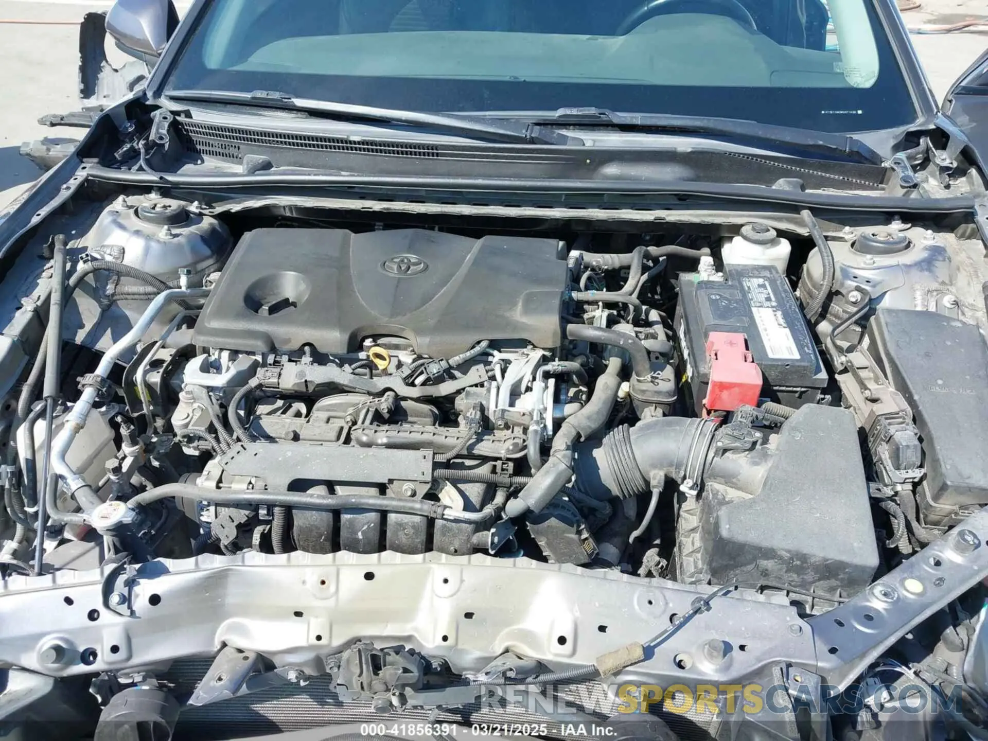 10 fotografías del automóvil dañado 4T1B11HK0KU271438 TOYOTA CAMRY 2019