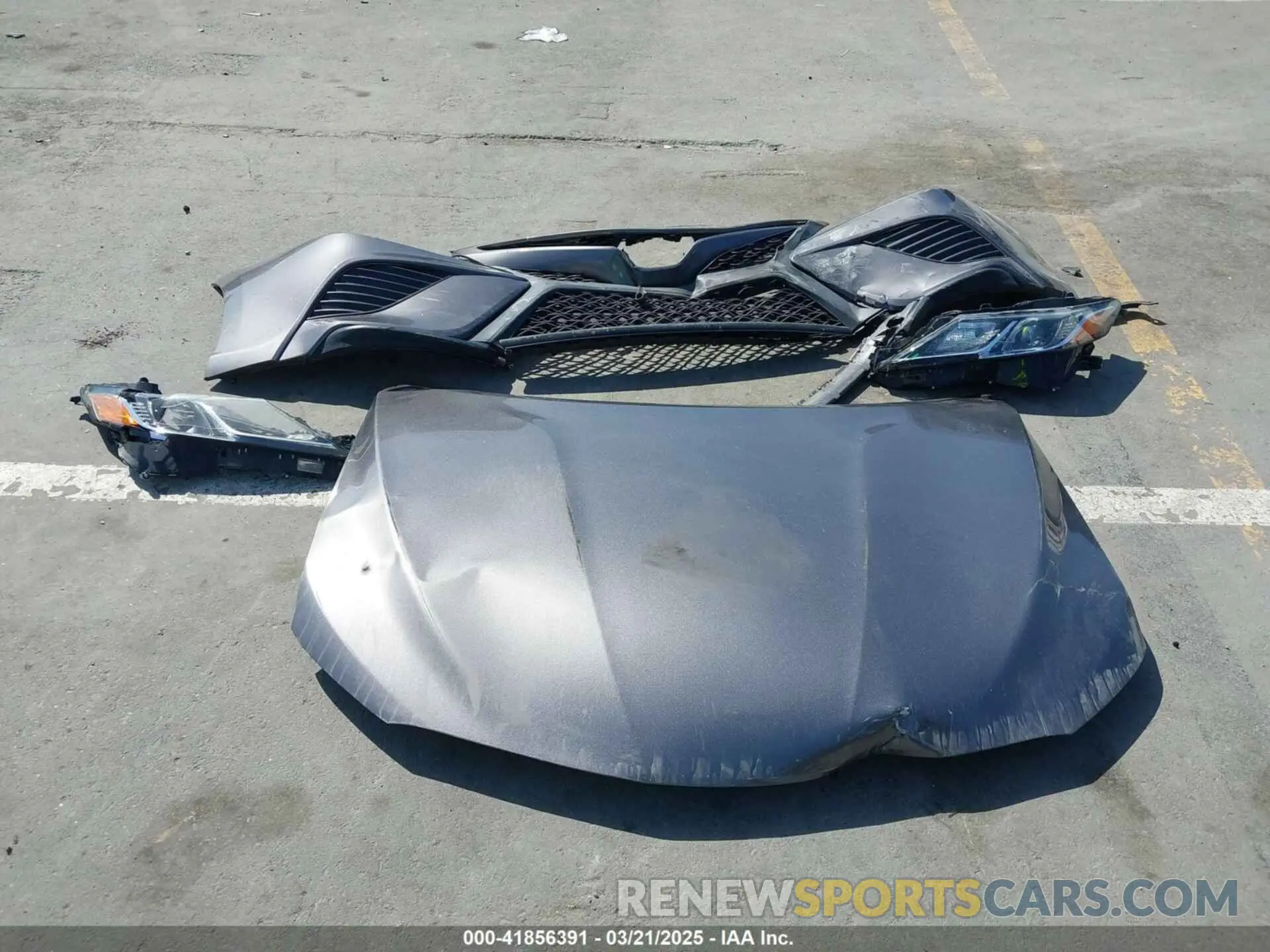 12 fotografías del automóvil dañado 4T1B11HK0KU271438 TOYOTA CAMRY 2019