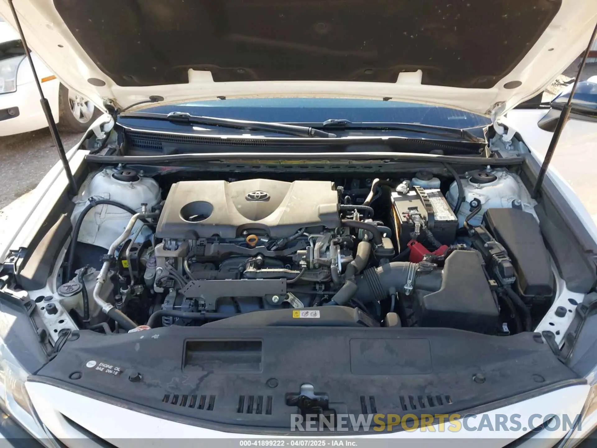 10 fotografías del automóvil dañado 4T1B11HK0KU276378 TOYOTA CAMRY 2019