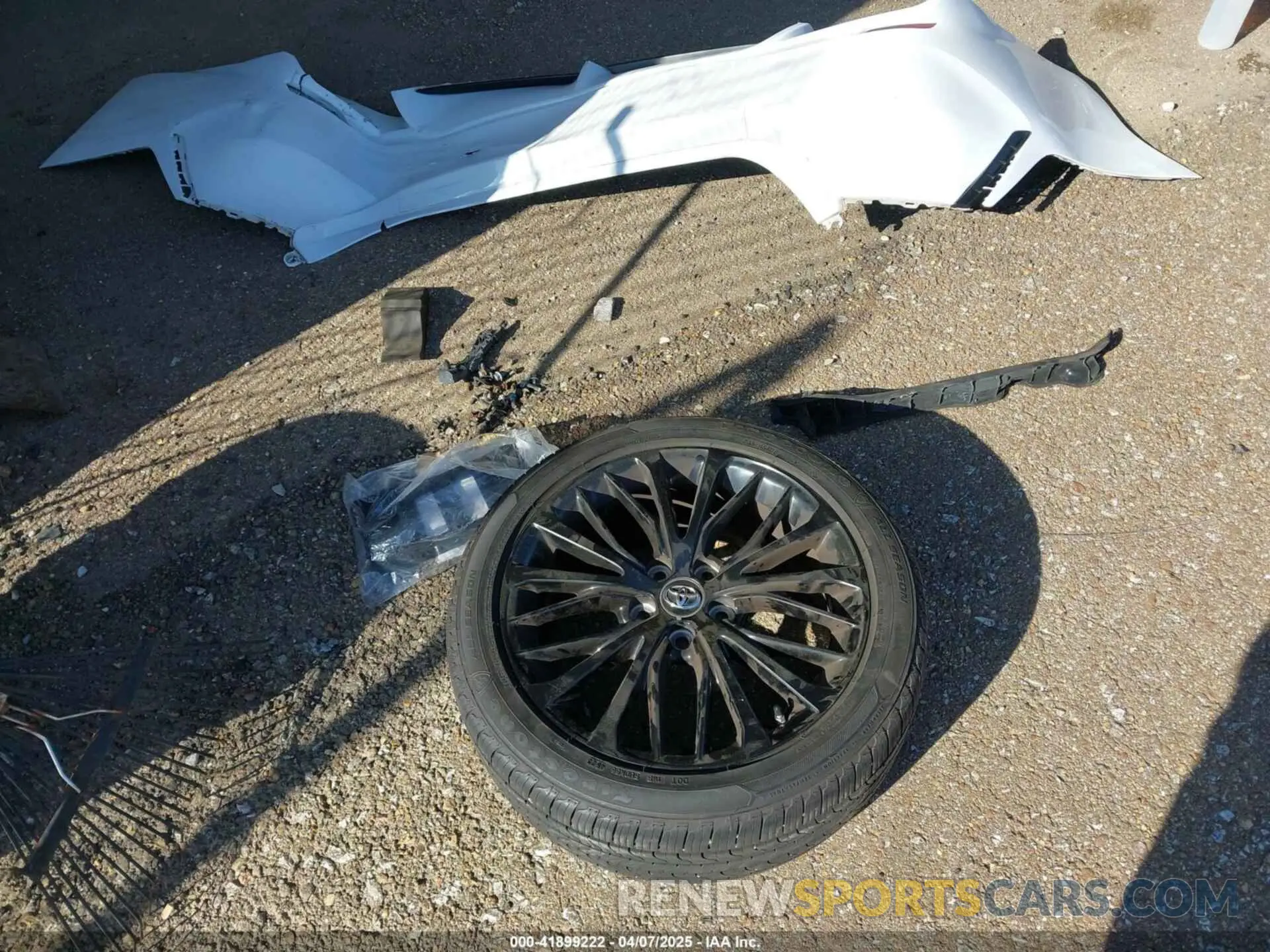 12 fotografías del automóvil dañado 4T1B11HK0KU276378 TOYOTA CAMRY 2019