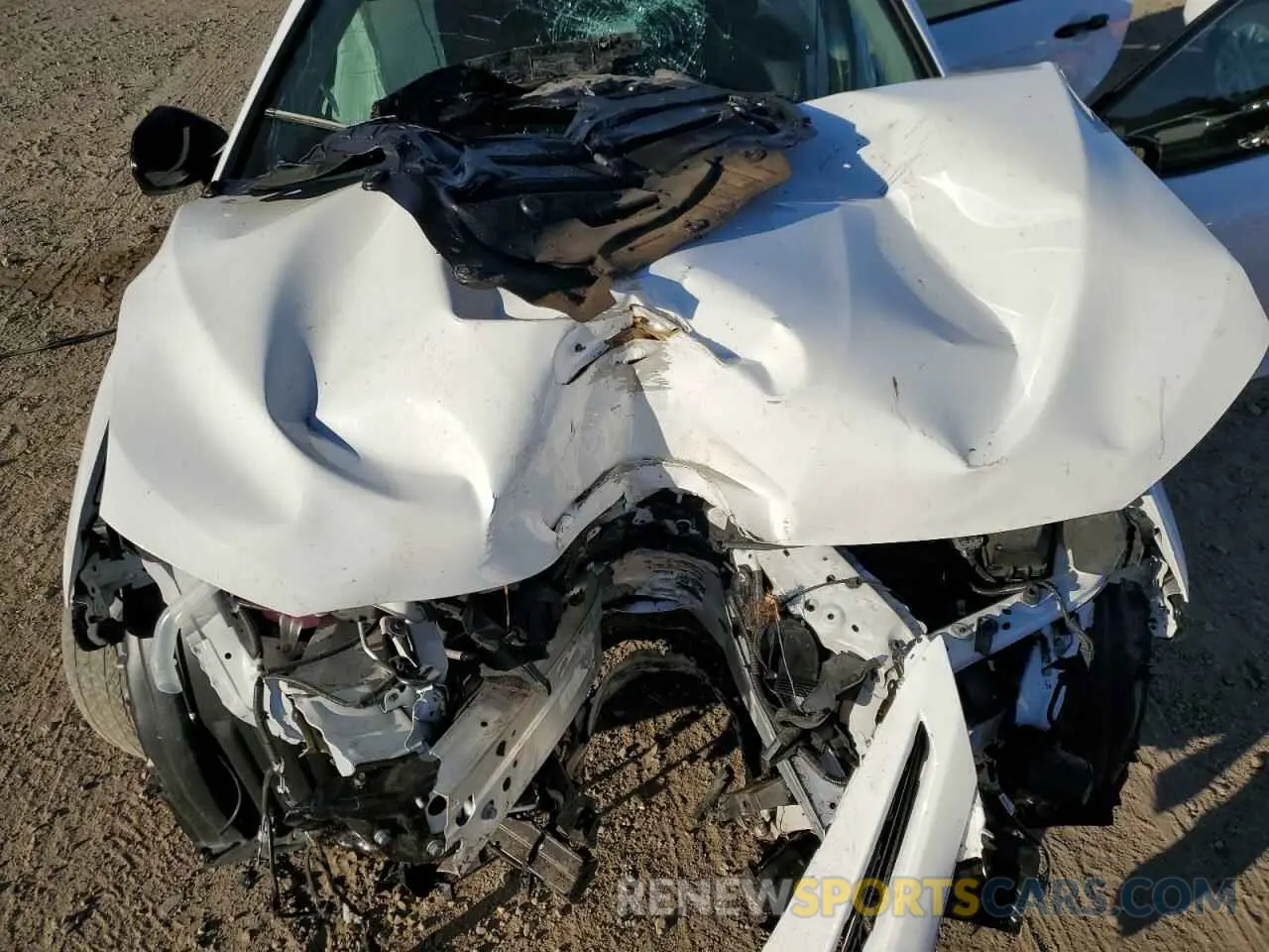 11 fotografías del automóvil dañado 4T1B11HK0KU294749 TOYOTA CAMRY 2019