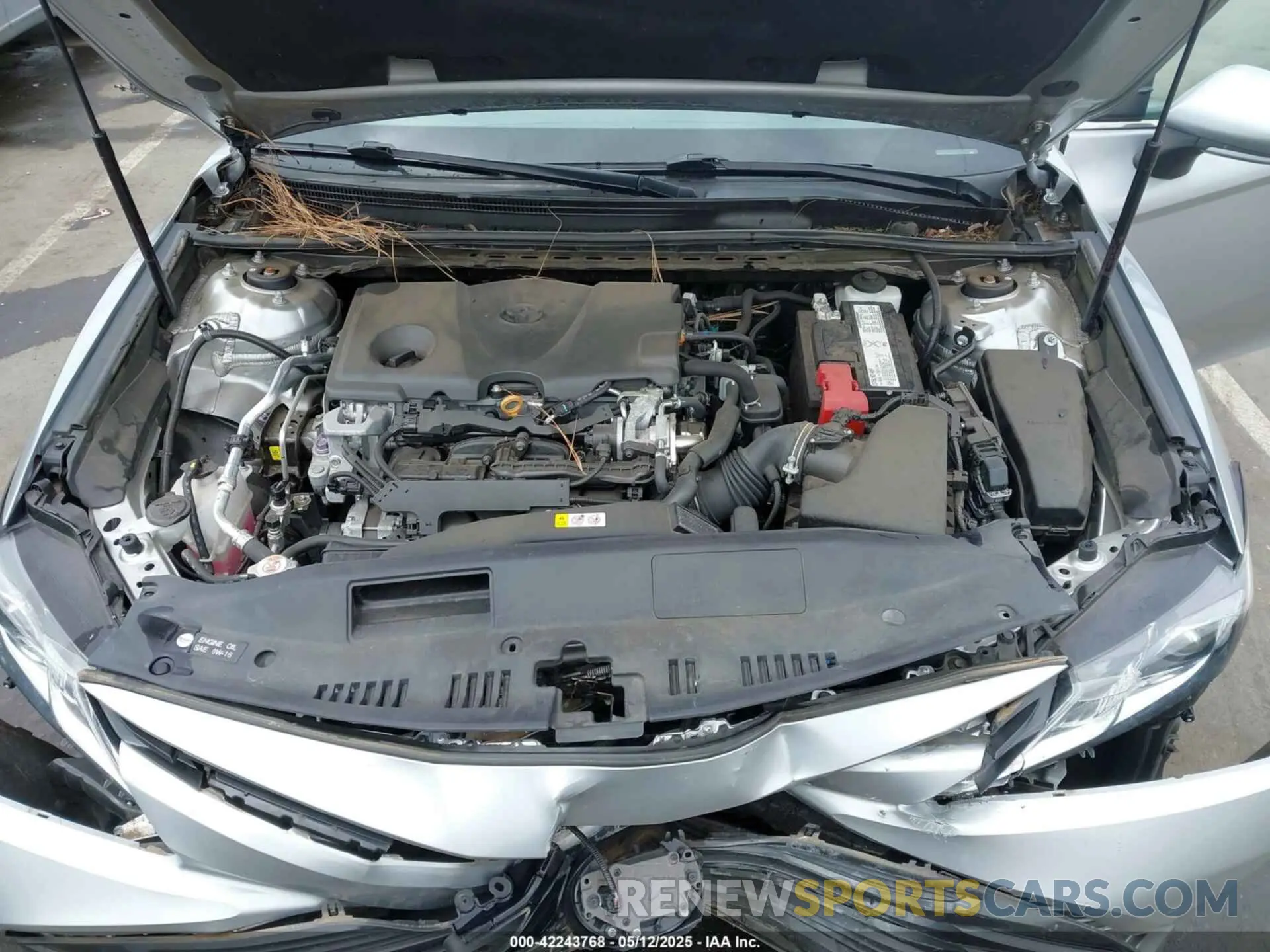 10 fotografías del automóvil dañado 4T1B11HK0KU297733 TOYOTA CAMRY 2019