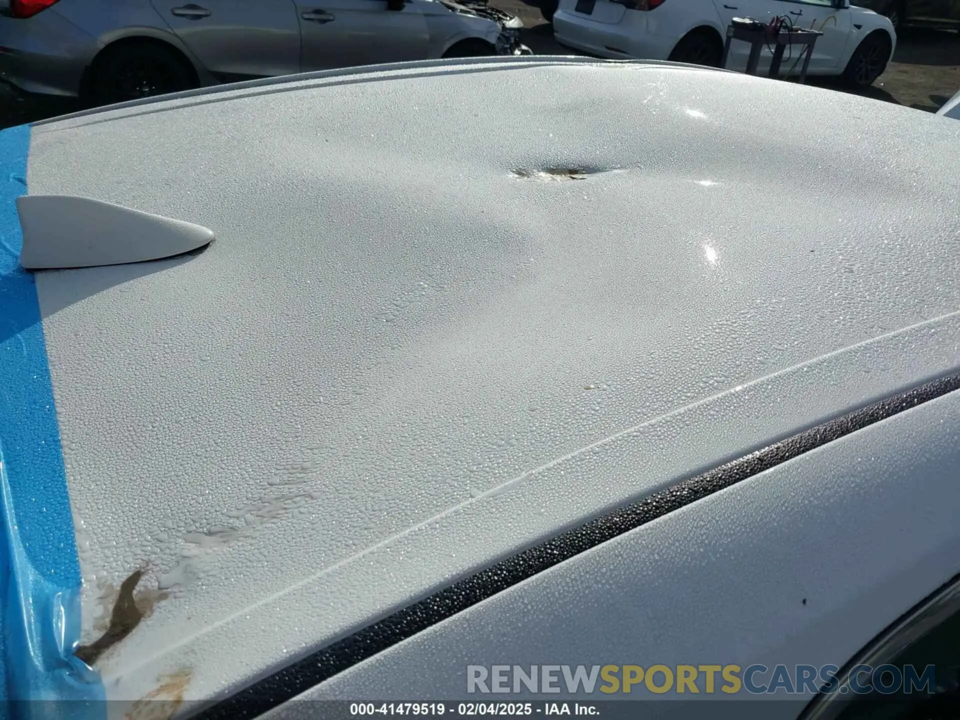 12 fotografías del automóvil dañado 4T1B11HK0KU686081 TOYOTA CAMRY 2019