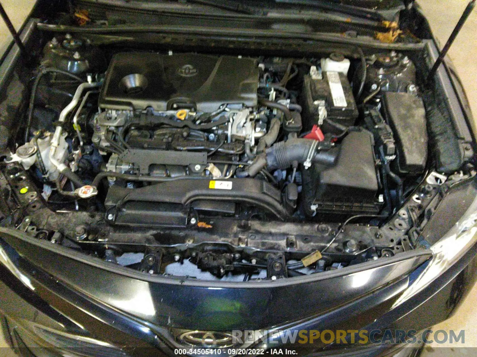 10 fotografías del automóvil dañado 4T1B11HK0KU694360 TOYOTA CAMRY 2019