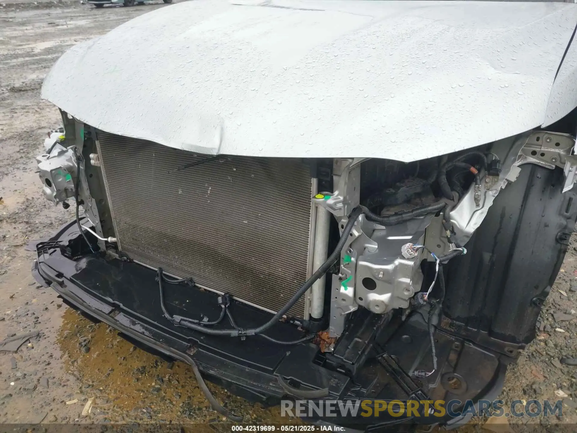 6 fotografías del automóvil dañado 4T1B11HK0KU698215 TOYOTA CAMRY 2019