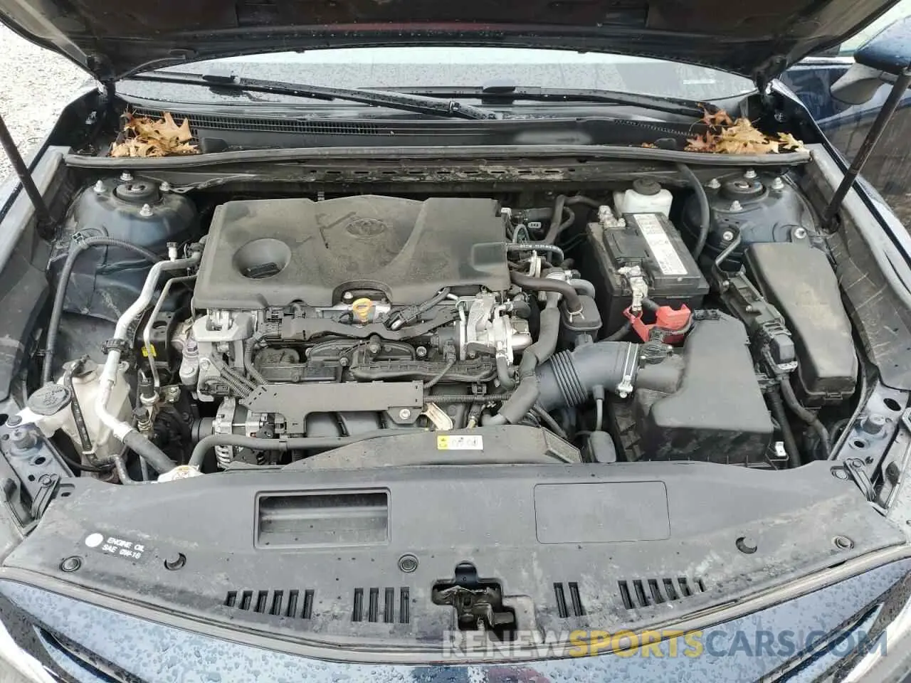 11 fotografías del automóvil dañado 4T1B11HK0KU714462 TOYOTA CAMRY 2019