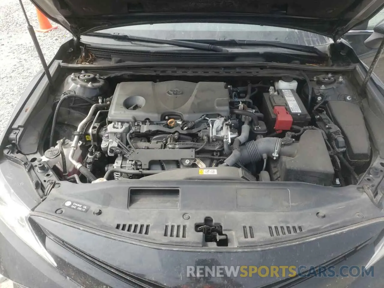 7 fotografías del automóvil dañado 4T1B11HK0KU716003 TOYOTA CAMRY 2019