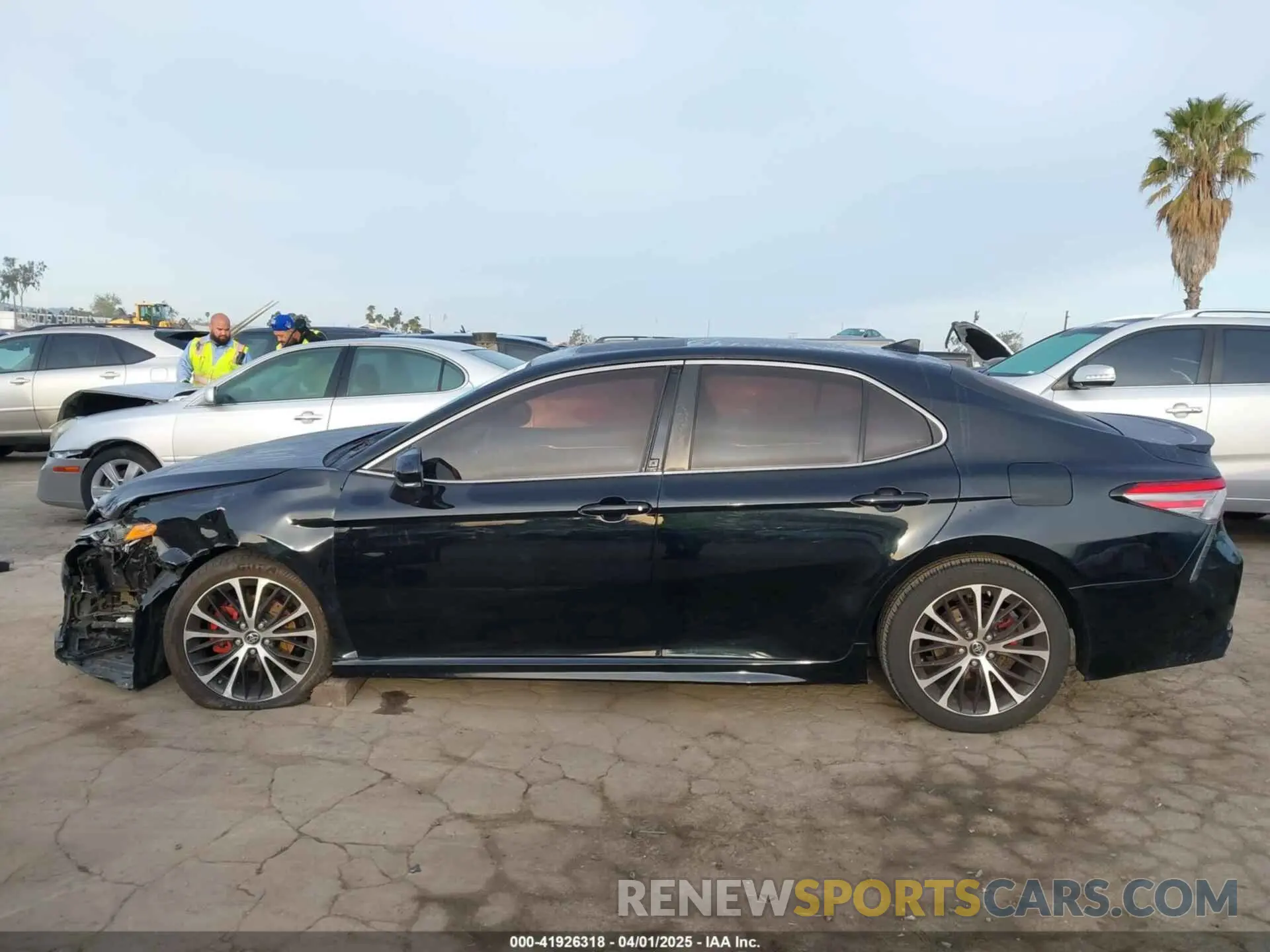 14 fotografías del automóvil dañado 4T1B11HK0KU730077 TOYOTA CAMRY 2019