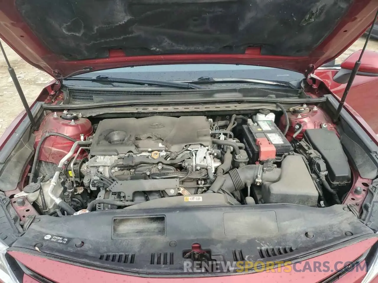 11 fotografías del automóvil dañado 4T1B11HK0KU740365 TOYOTA CAMRY 2019