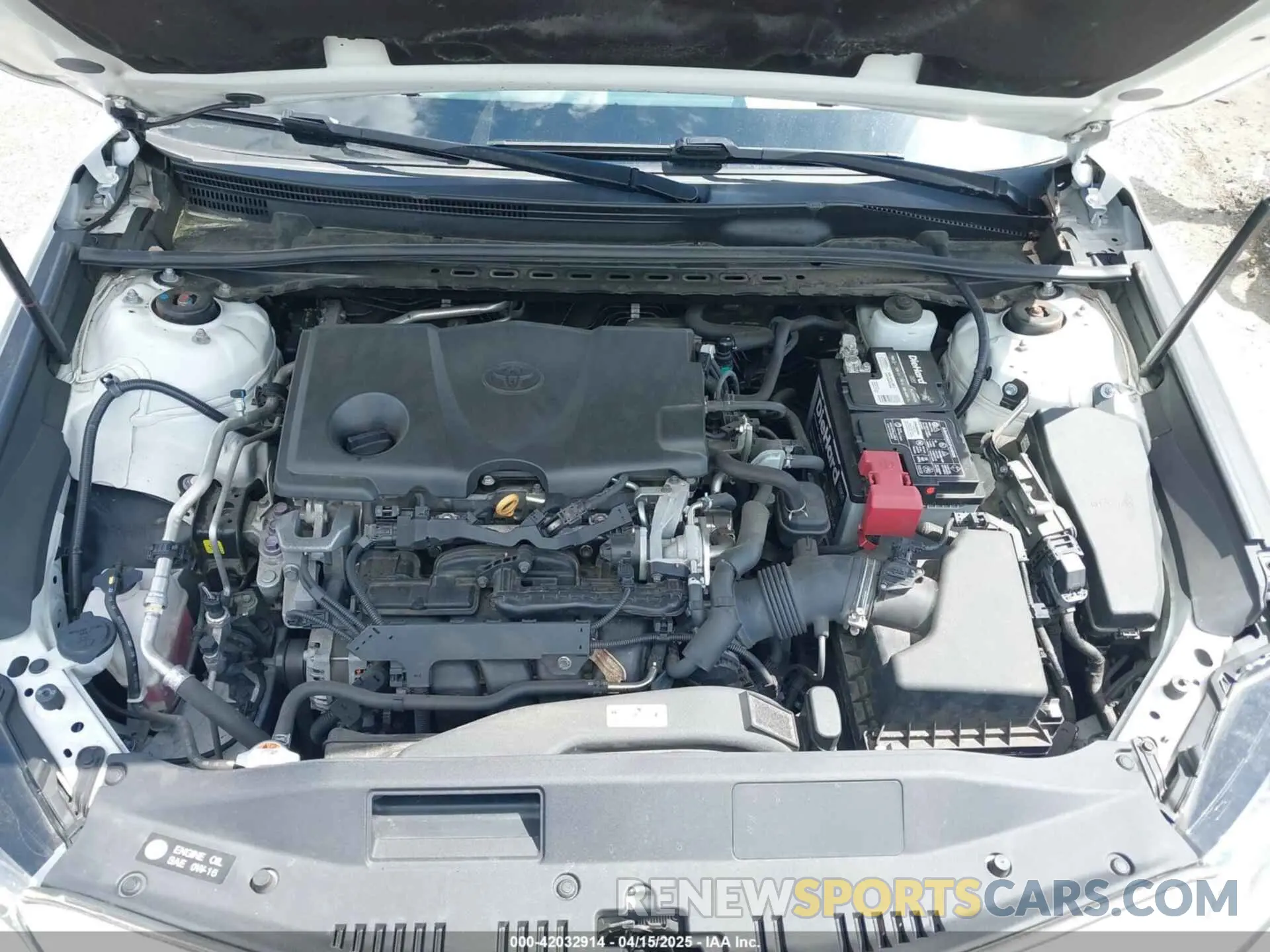 10 fotografías del automóvil dañado 4T1B11HK0KU754797 TOYOTA CAMRY 2019