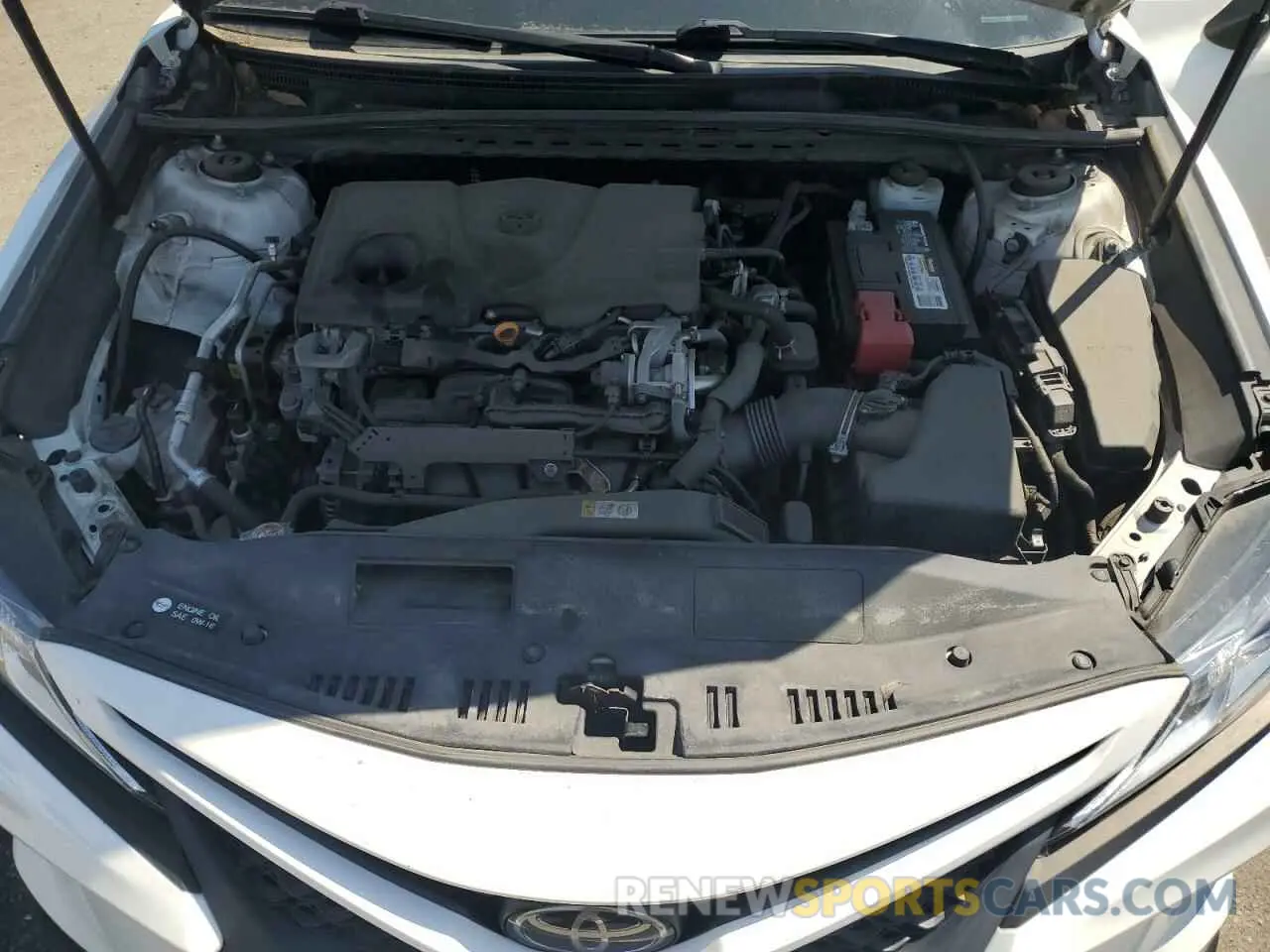 11 fotografías del automóvil dañado 4T1B11HK0KU779330 TOYOTA CAMRY 2019