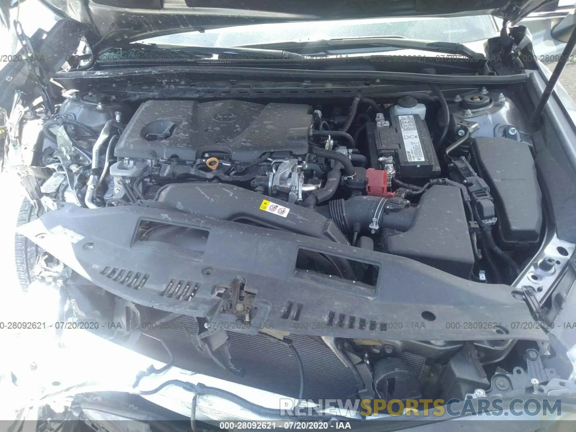 10 fotografías del automóvil dañado 4T1B11HK0KU783314 TOYOTA CAMRY 2019