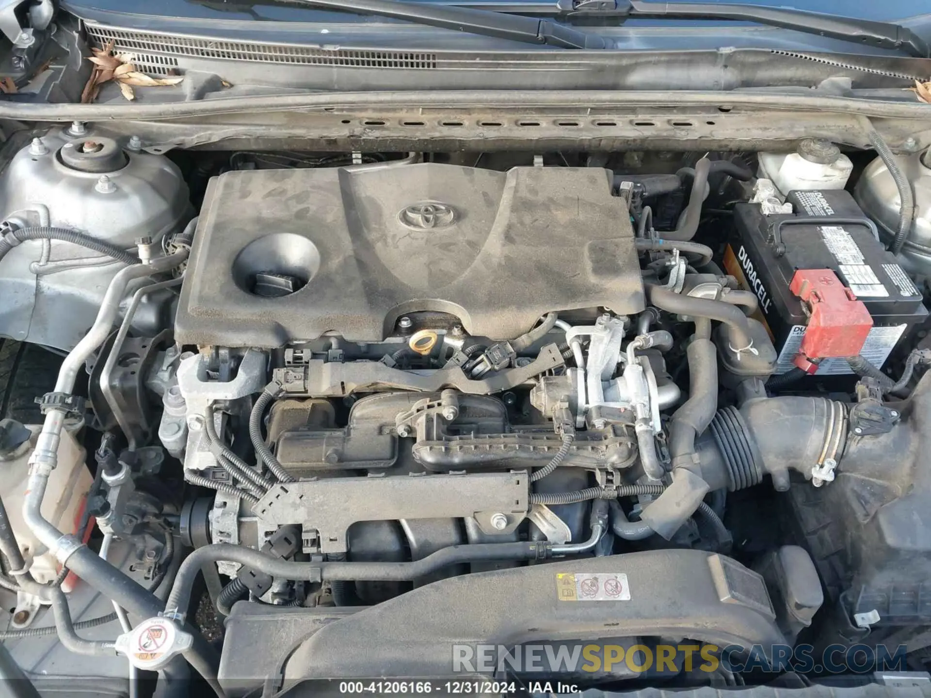 10 fotografías del automóvil dañado 4T1B11HK0KU791767 TOYOTA CAMRY 2019