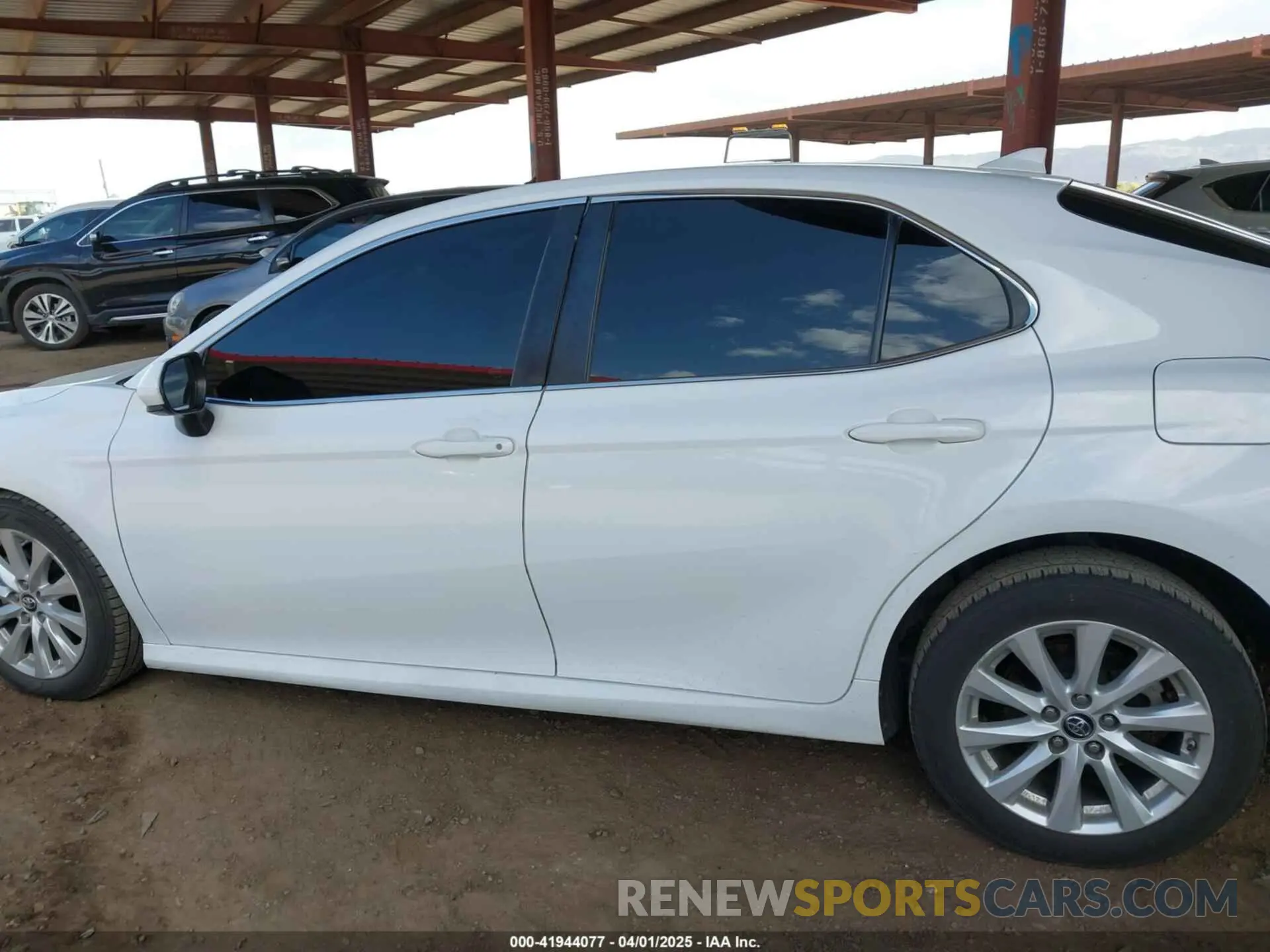 13 fotografías del automóvil dañado 4T1B11HK0KU798847 TOYOTA CAMRY 2019