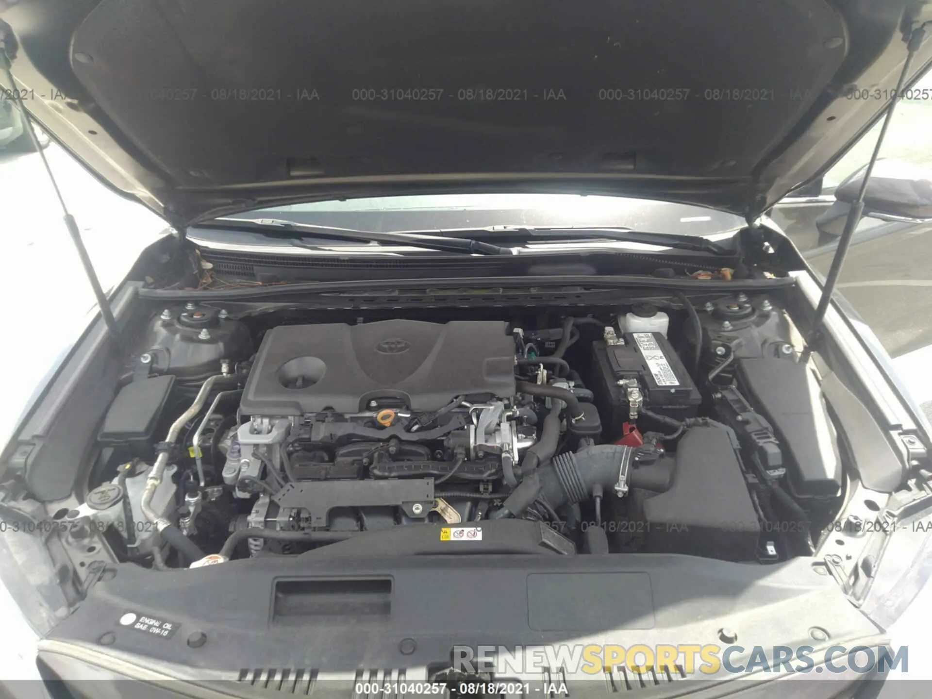 10 fotografías del automóvil dañado 4T1B11HK0KU800368 TOYOTA CAMRY 2019