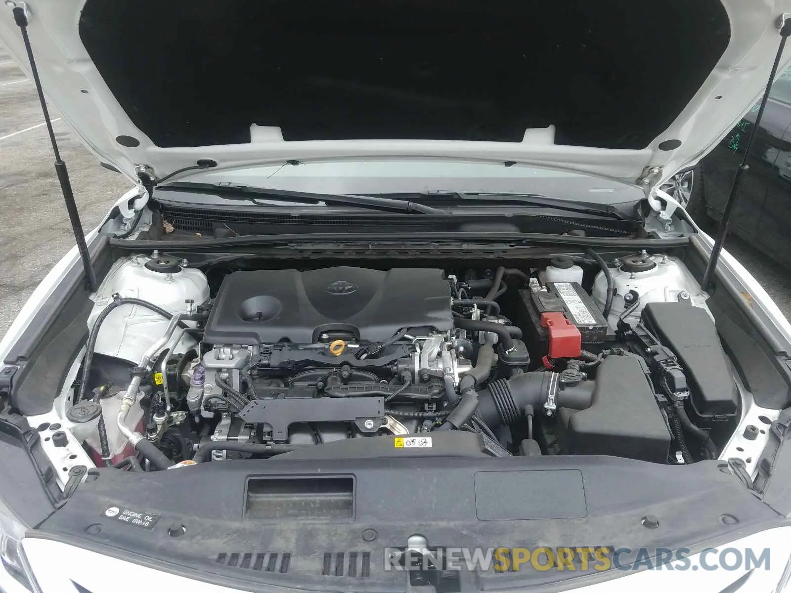 7 fotografías del automóvil dañado 4T1B11HK0KU800371 TOYOTA CAMRY 2019